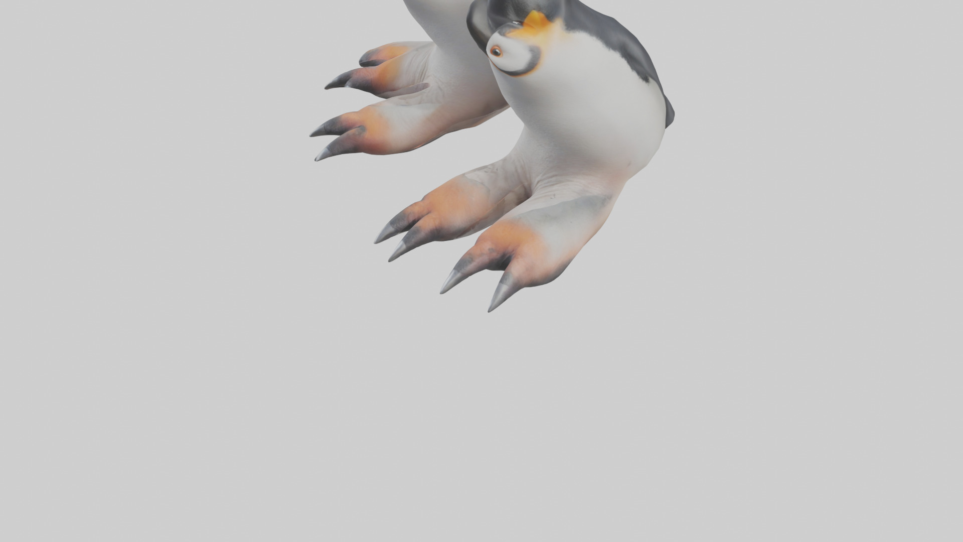Penguin Feet Model Low-poly 3D model_5