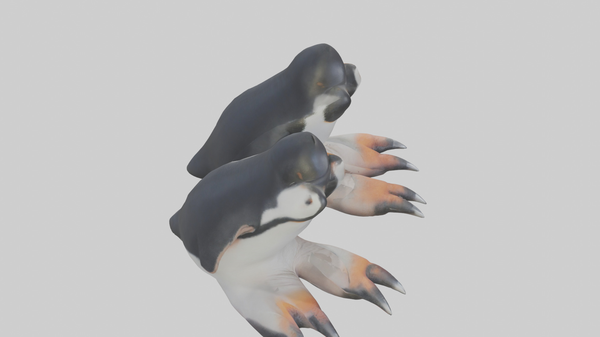Penguin Feet Model Low-poly 3D model_18