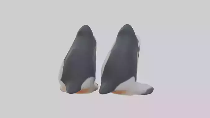 Penguin Feet Model
