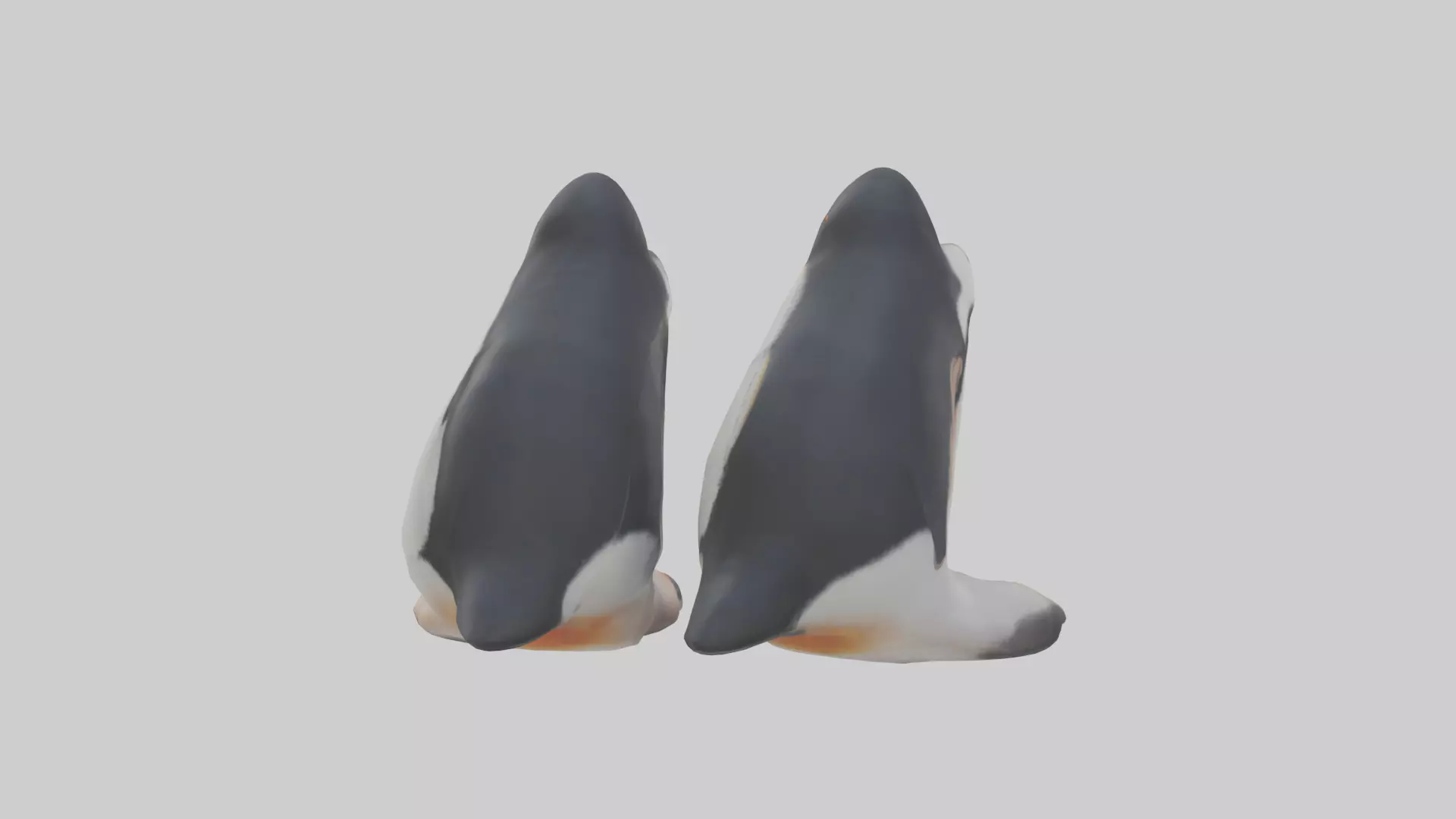 Penguin Feet Model Low-poly 3D model_0
