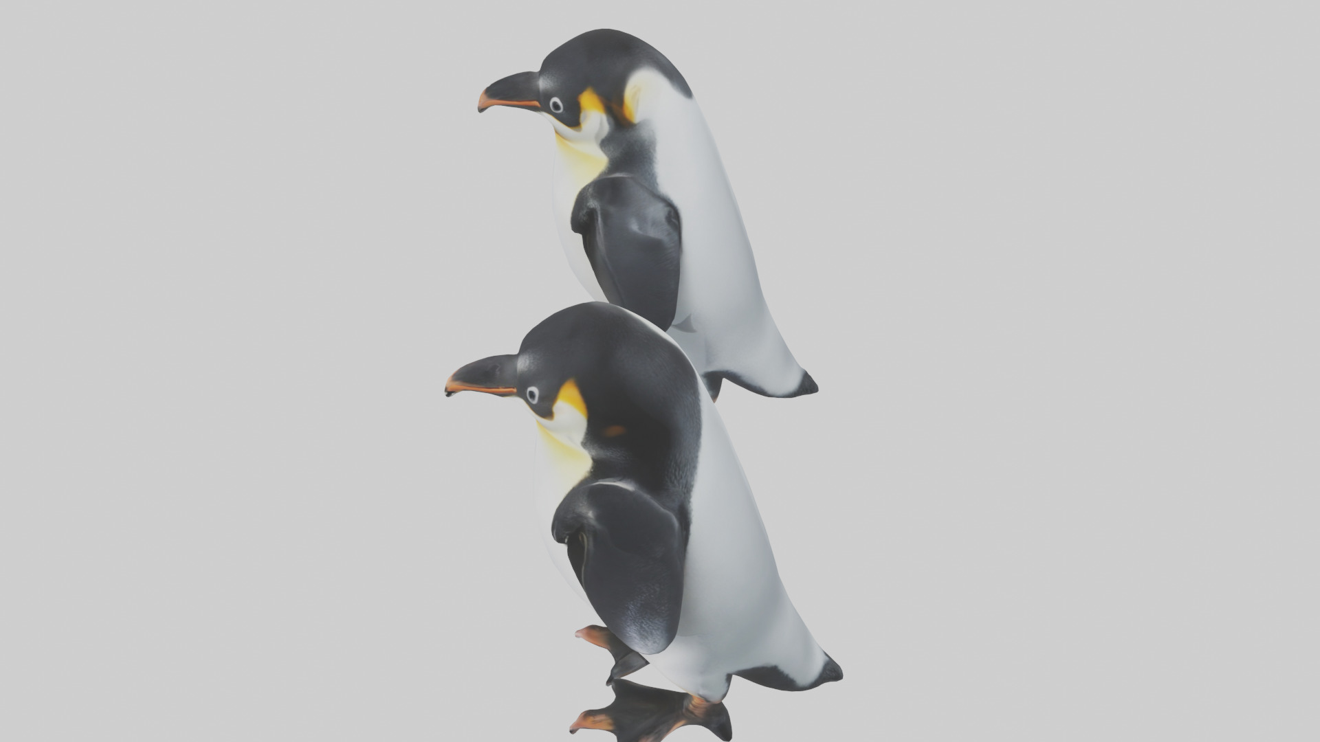 Penguin Flippers Low-poly 3D model_17