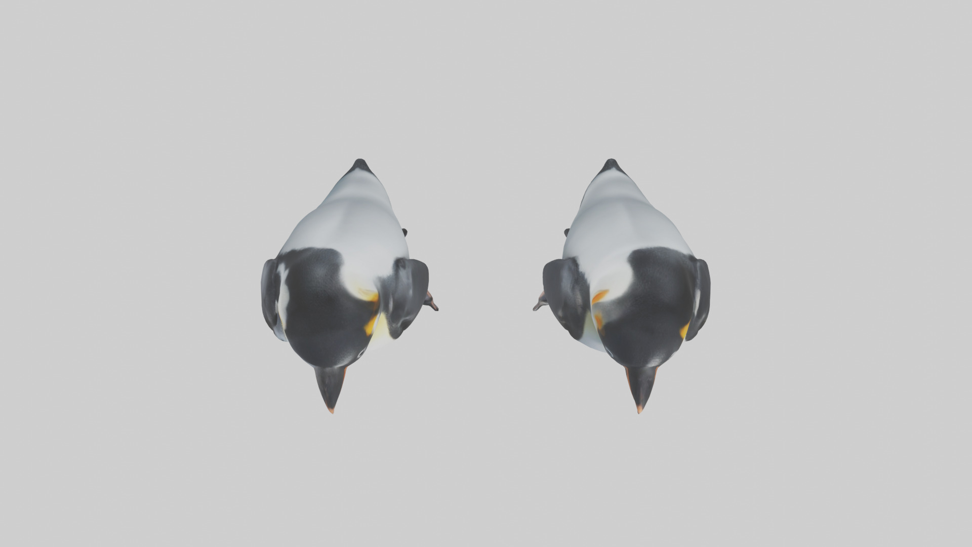 Penguin Flippers Low-poly 3D model_14