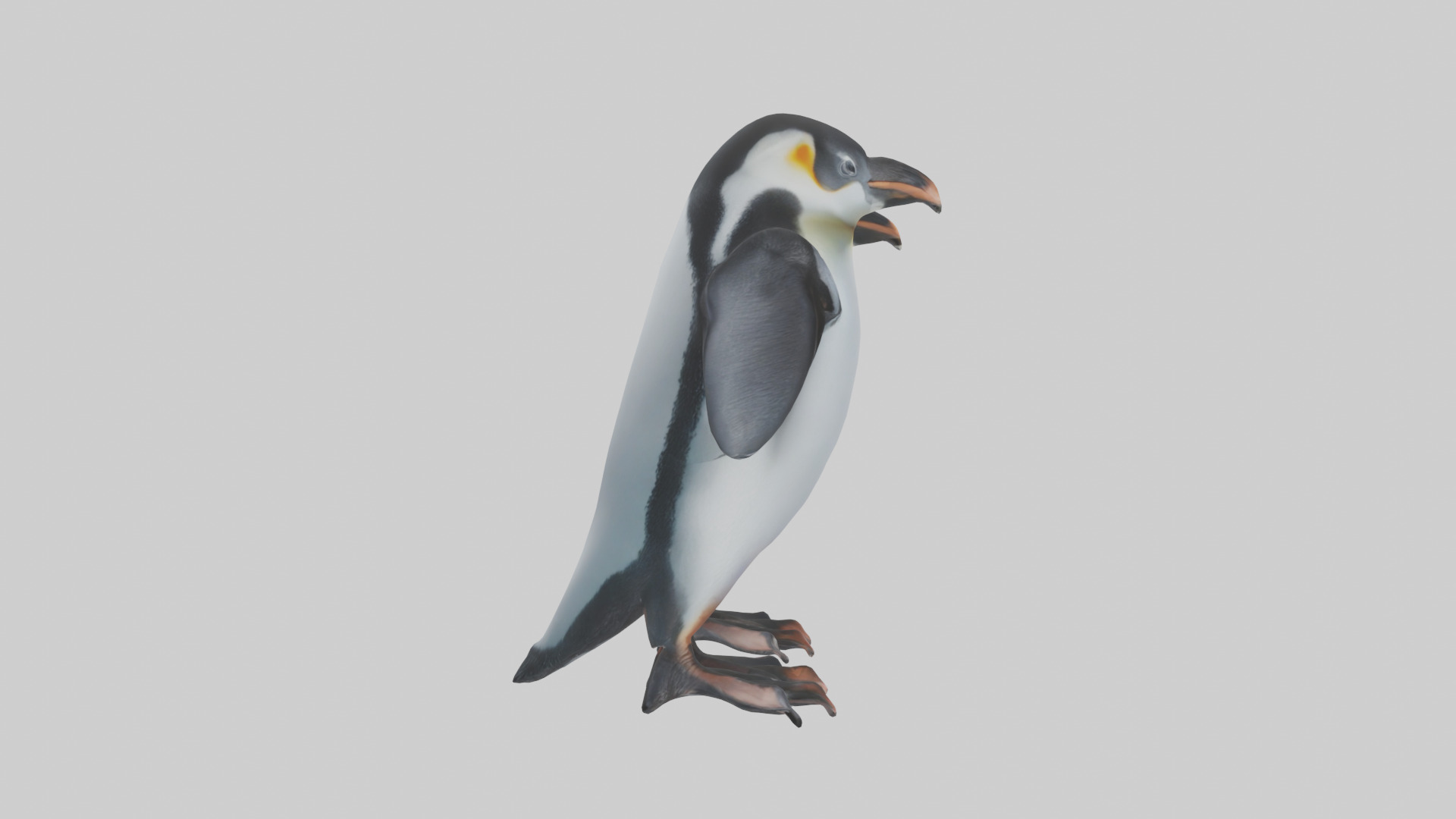 Penguin Flippers Low-poly 3D model_13
