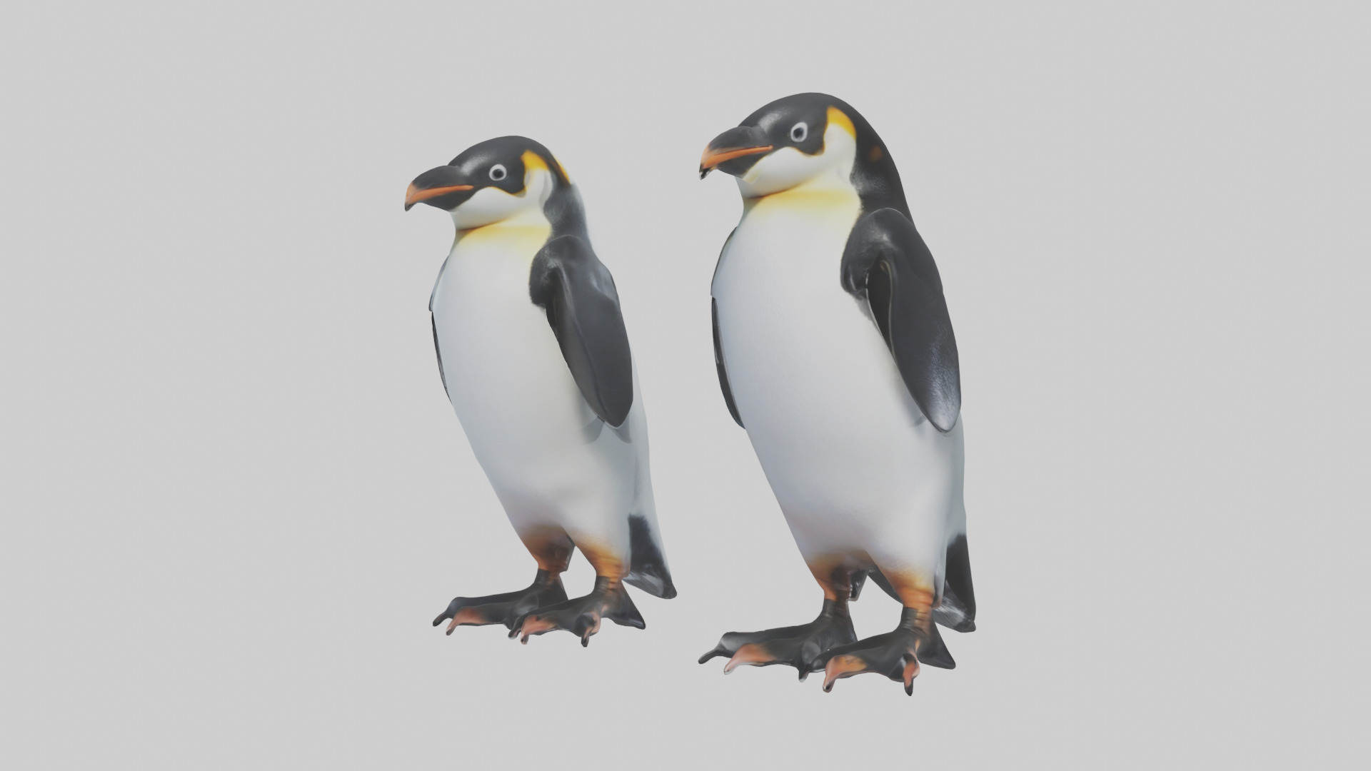 Penguin Flippers Low-poly 3D model_10