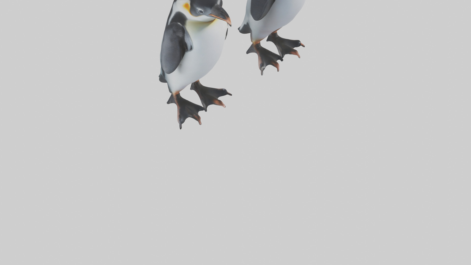 Penguin Flippers Low-poly 3D model_6
