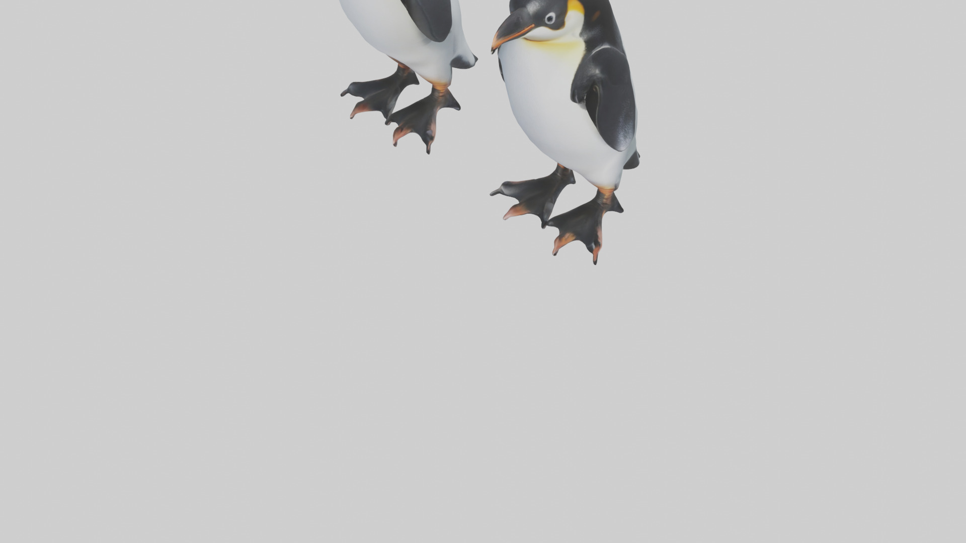 Penguin Flippers Low-poly 3D model_5