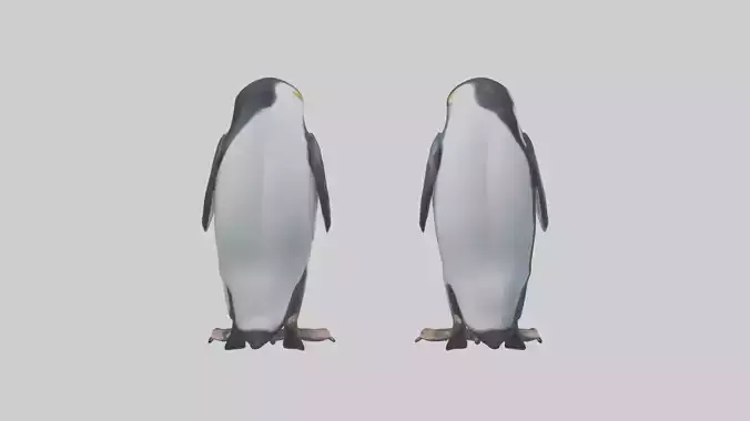 Penguin Flippers