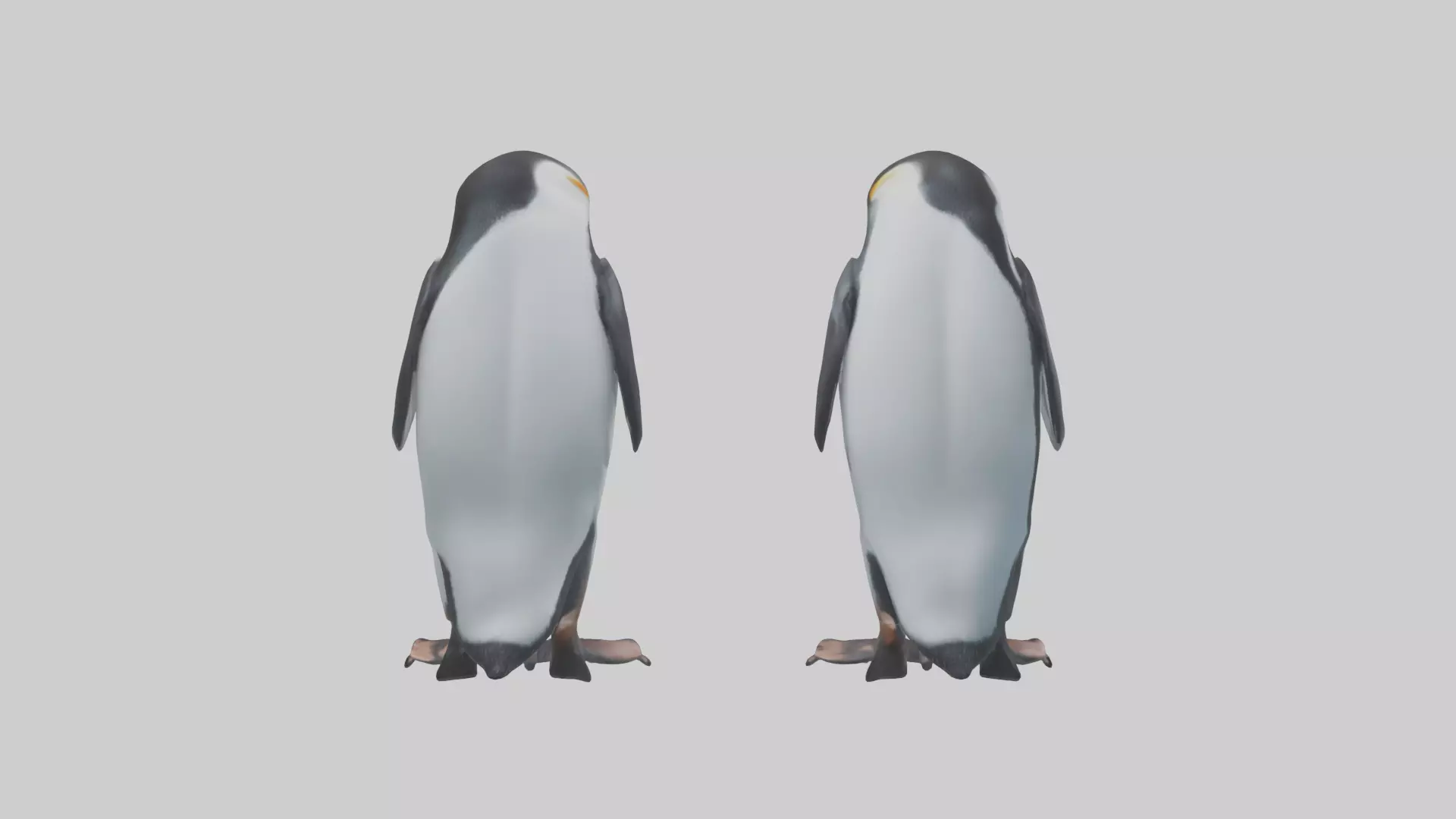 Penguin Flippers Low-poly 3D model_0