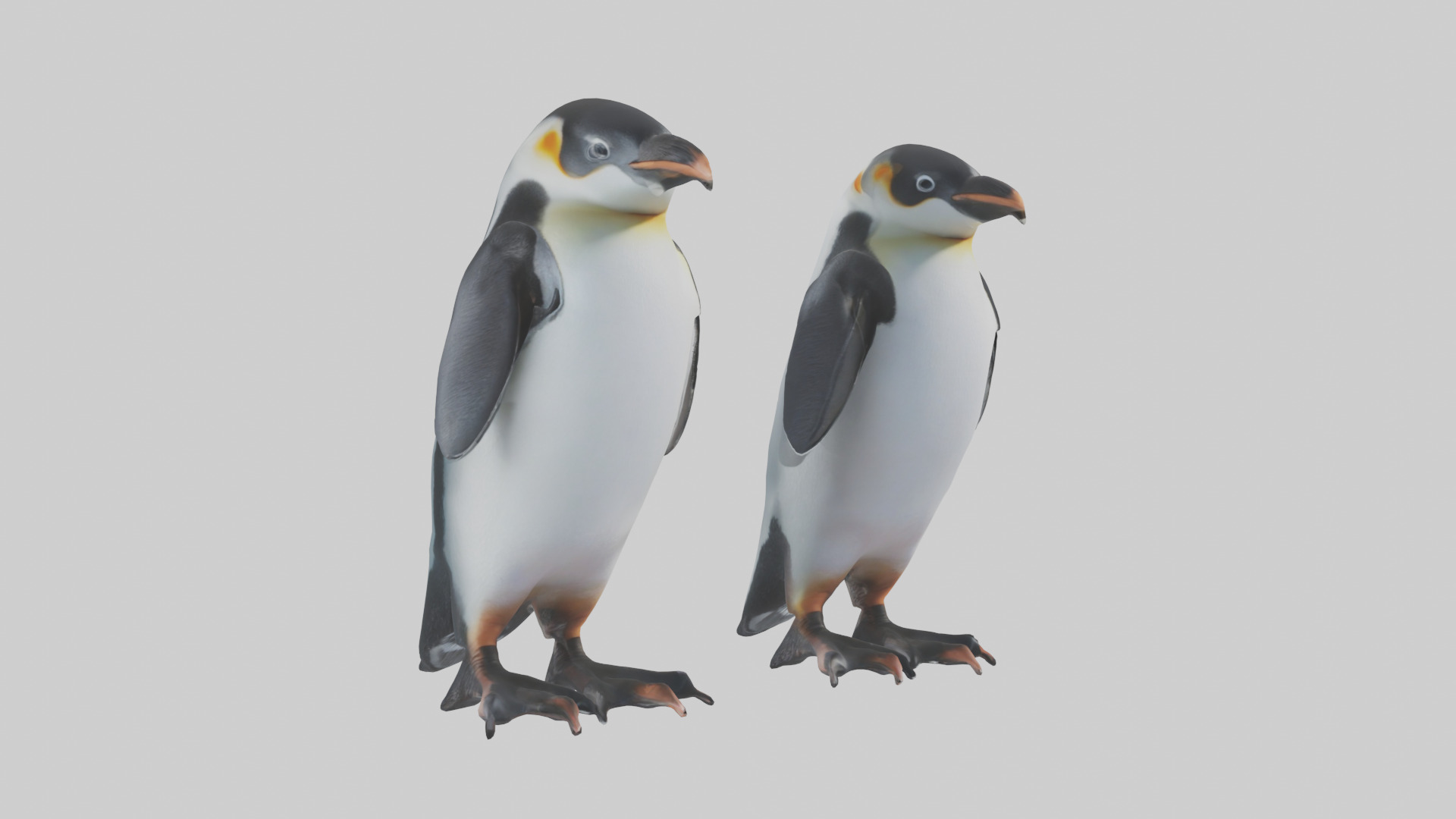 Penguin Flippers Low-poly 3D model_11