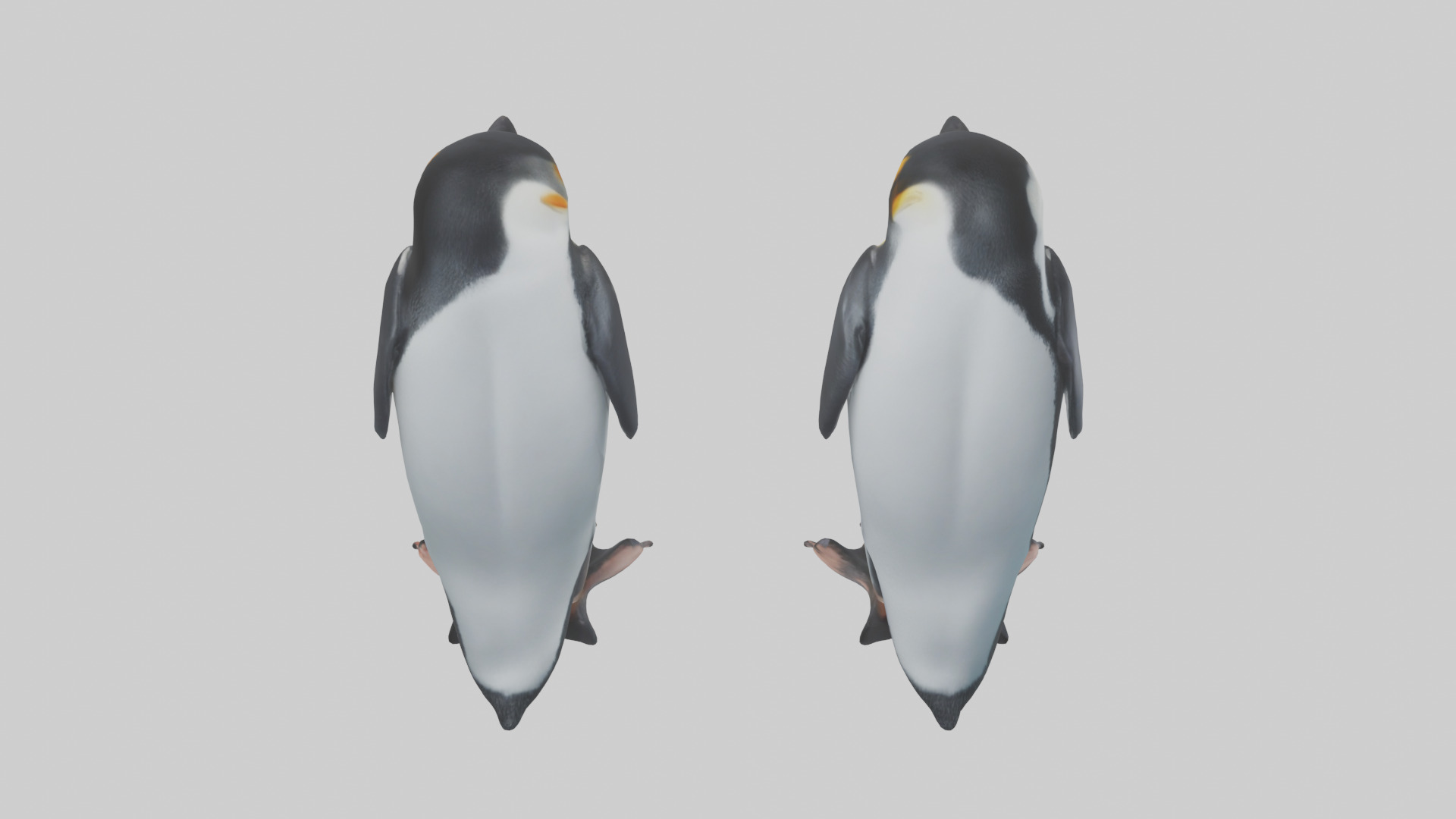 Penguin Flippers Low-poly 3D model_15