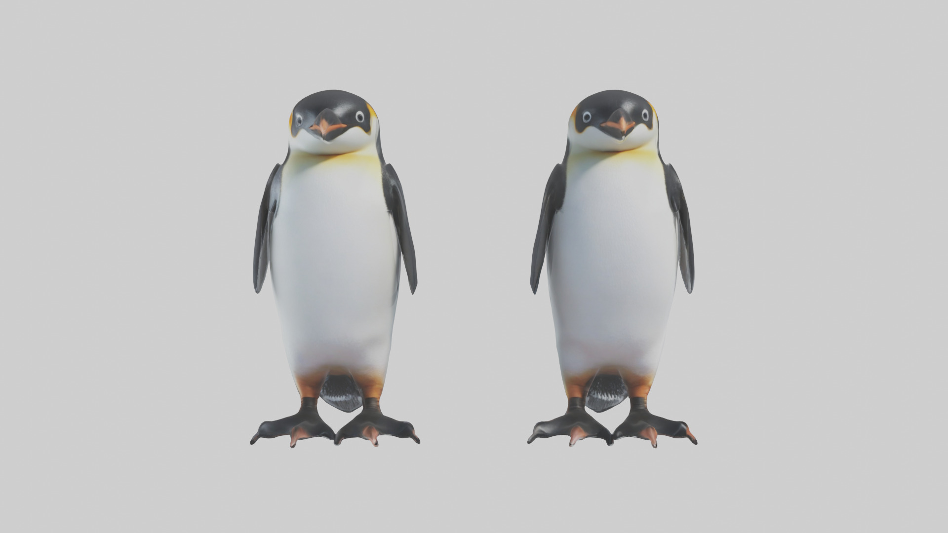 Penguin Flippers Low-poly 3D model_9