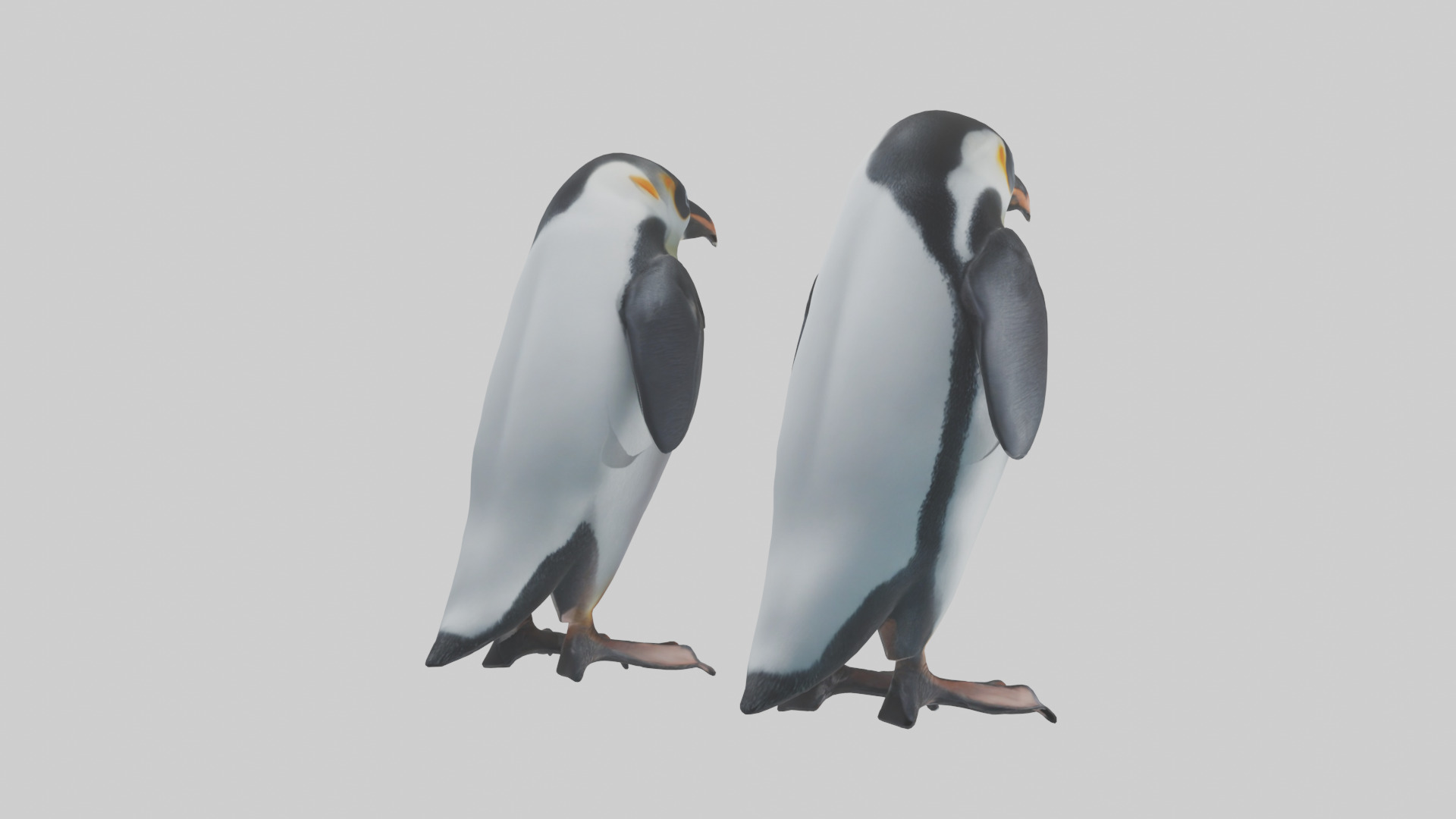 Penguin Flippers Low-poly 3D model_2