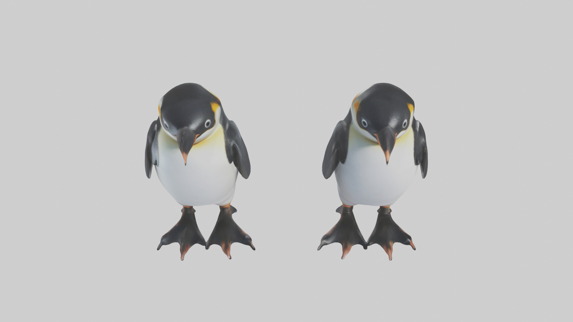 Penguin Flippers Low-poly 3D model_16