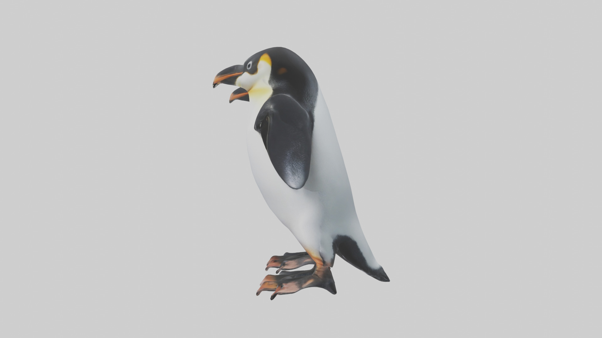 Penguin Flippers Low-poly 3D model_12