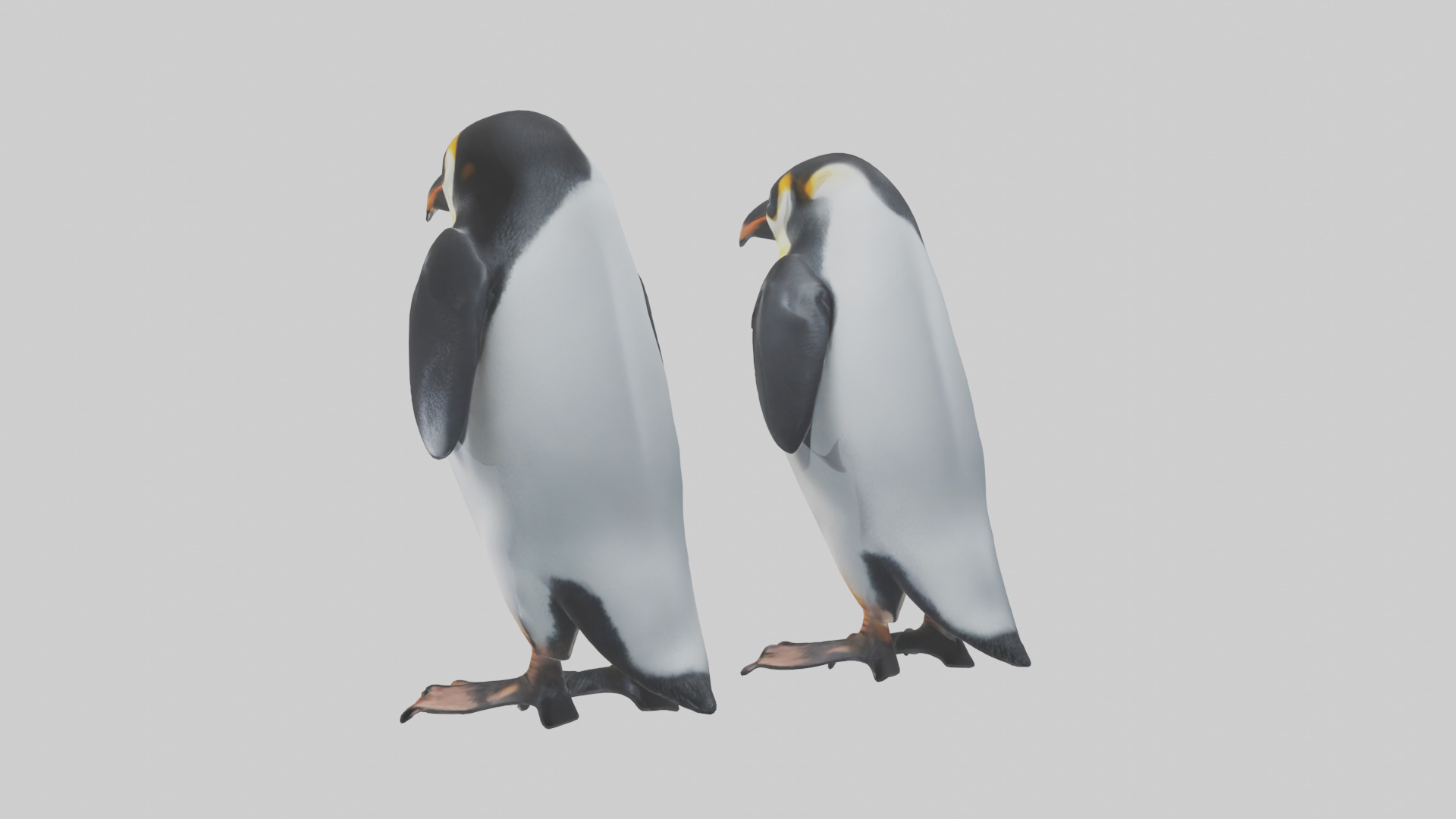 Penguin Flippers Low-poly 3D model_1
