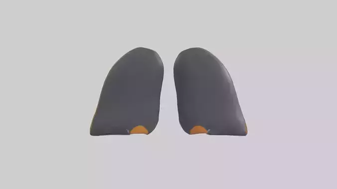 Penguin Flippers Model