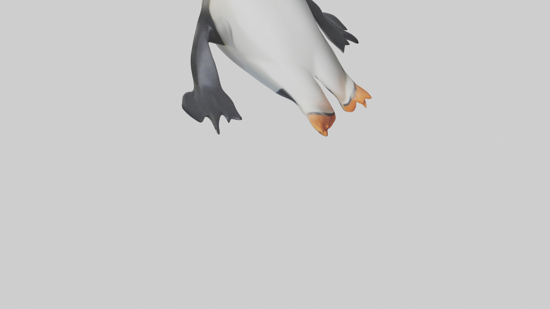 Penguin sliding on belly model Low-poly 3D model_6