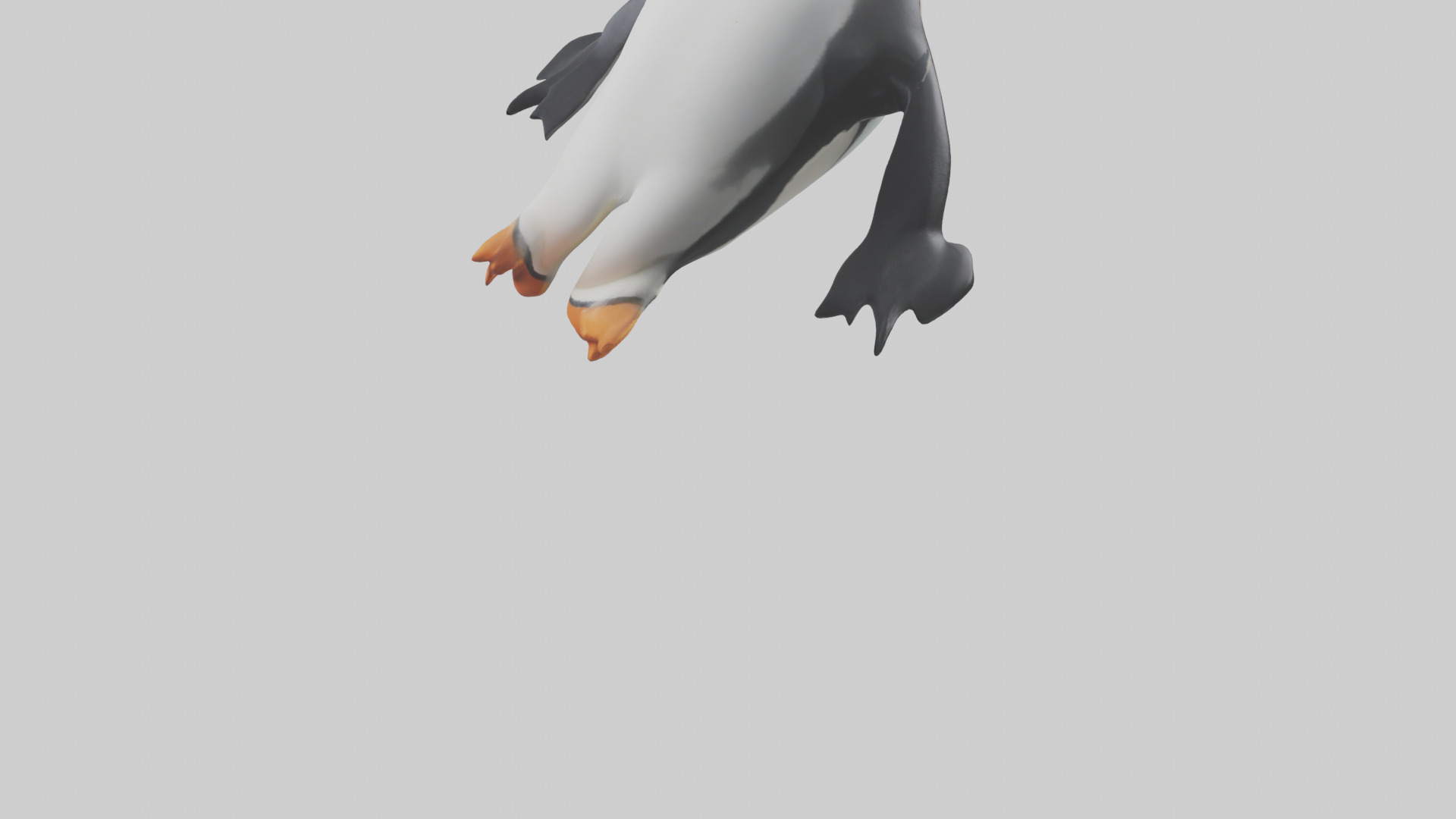 Penguin sliding on belly model Low-poly 3D model_5