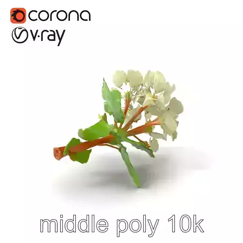 Alpine Clover Graceful Flower model pack Low-poly 3D model