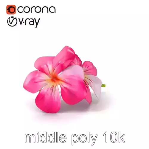 Rosy Bicolor Clover Petals Model Pack Low-poly 3D model