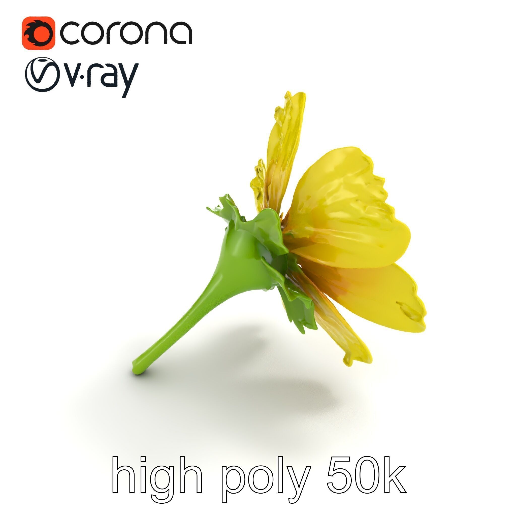 Yellow Clover Flower Botanical model pack Low-poly 3D model_26