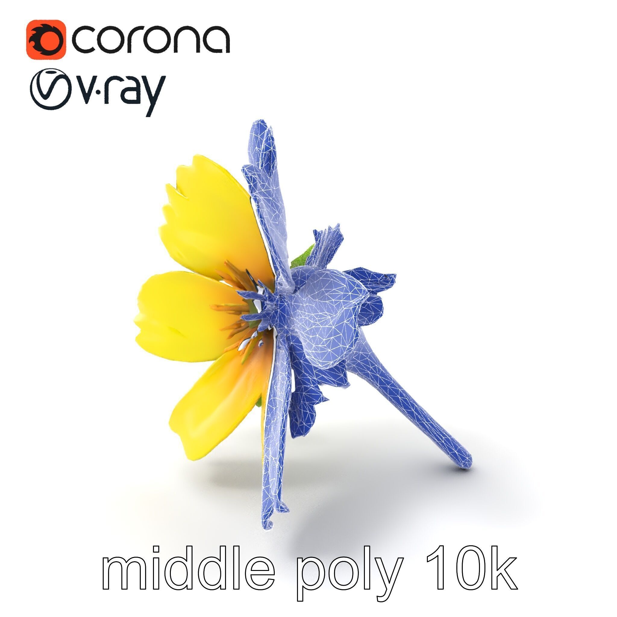 Yellow Clover Flower Botanical model pack Low-poly 3D model_6