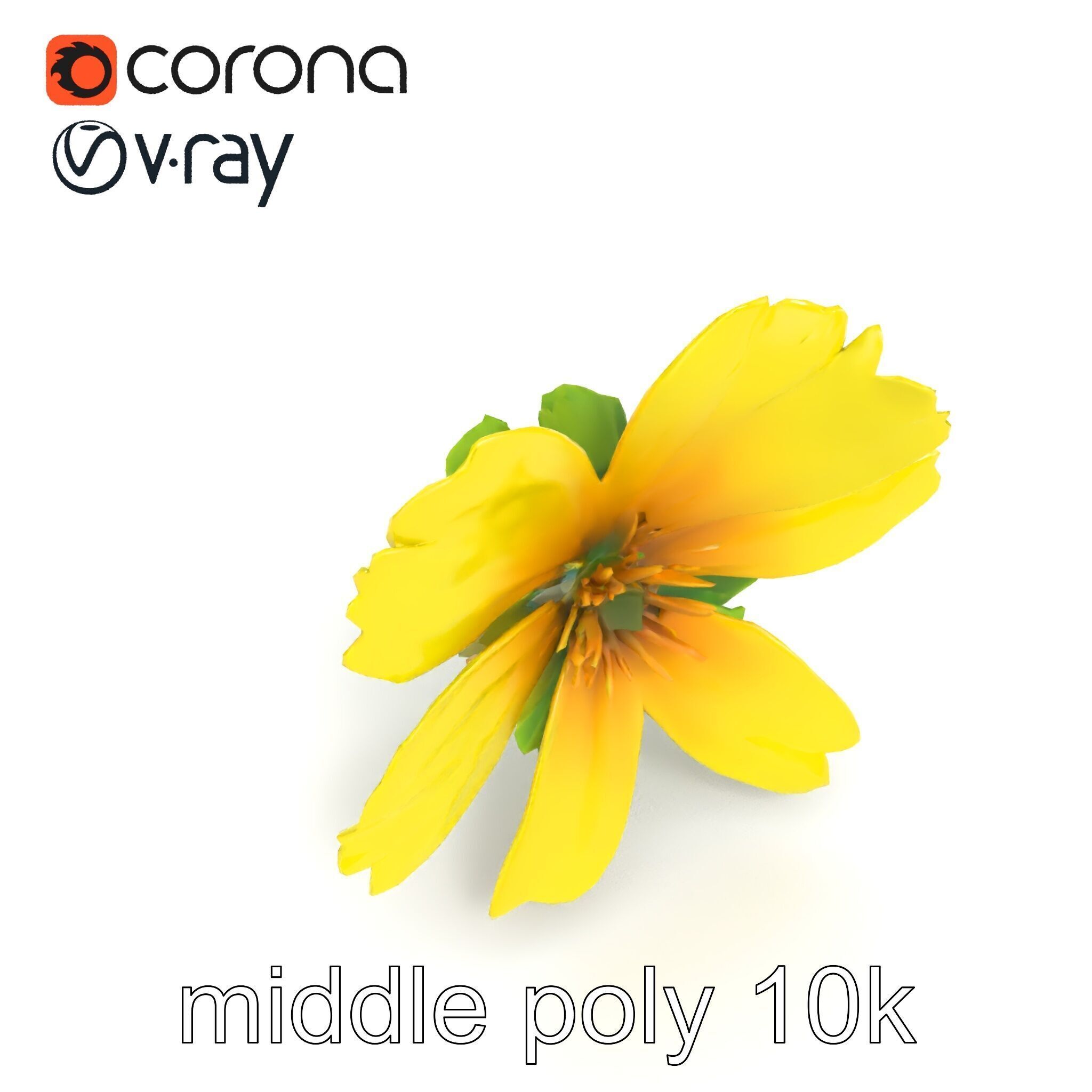Yellow Clover Flower Botanical model pack Low-poly 3D model_15