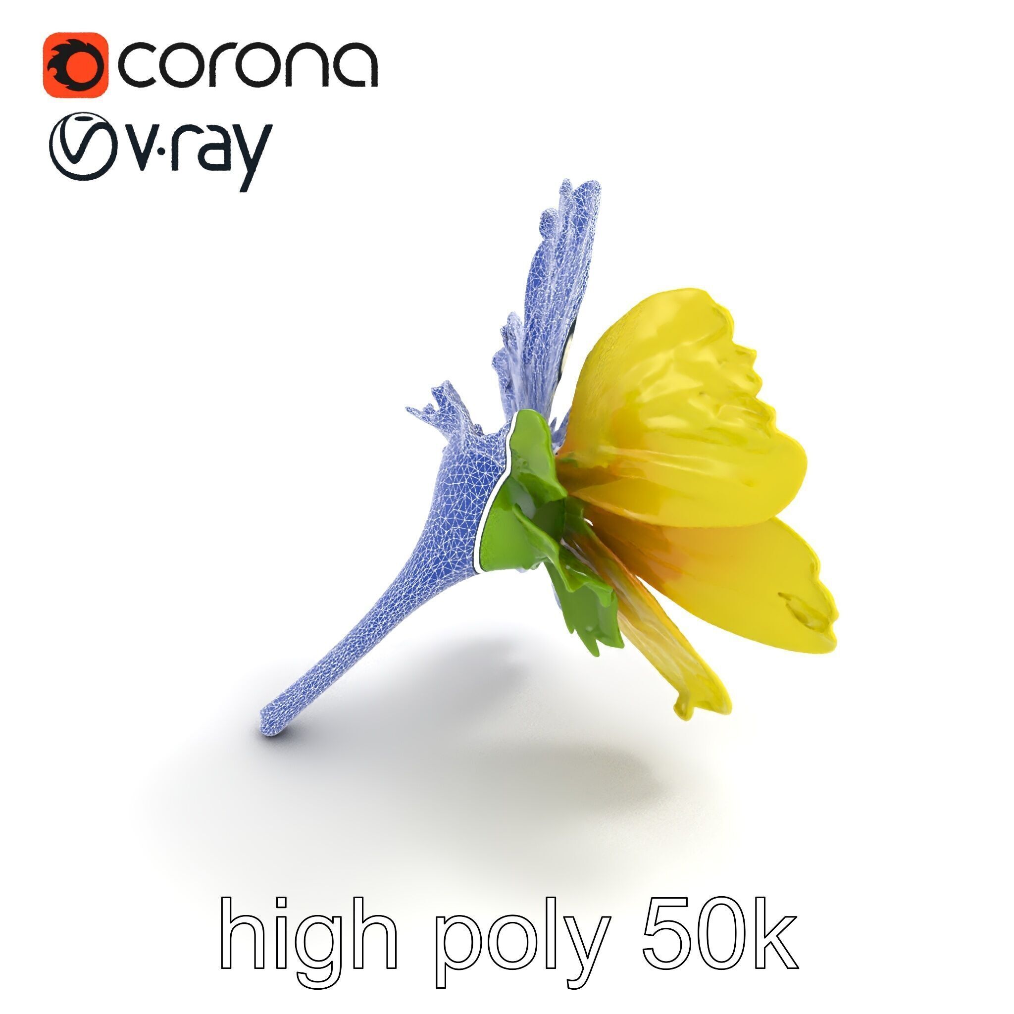 Yellow Clover Flower Botanical model pack Low-poly 3D model_21