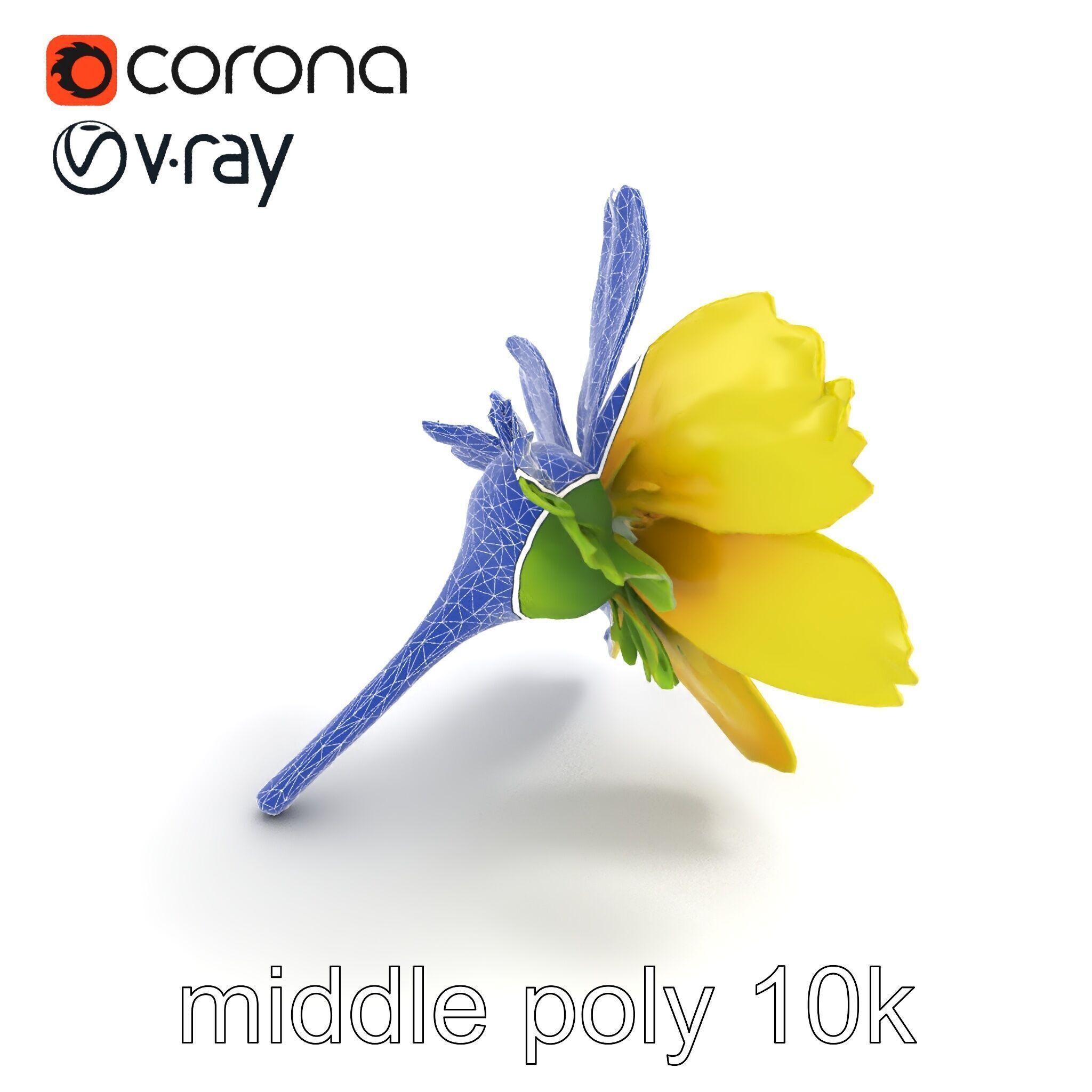 Yellow Clover Flower Botanical model pack Low-poly 3D model_25
