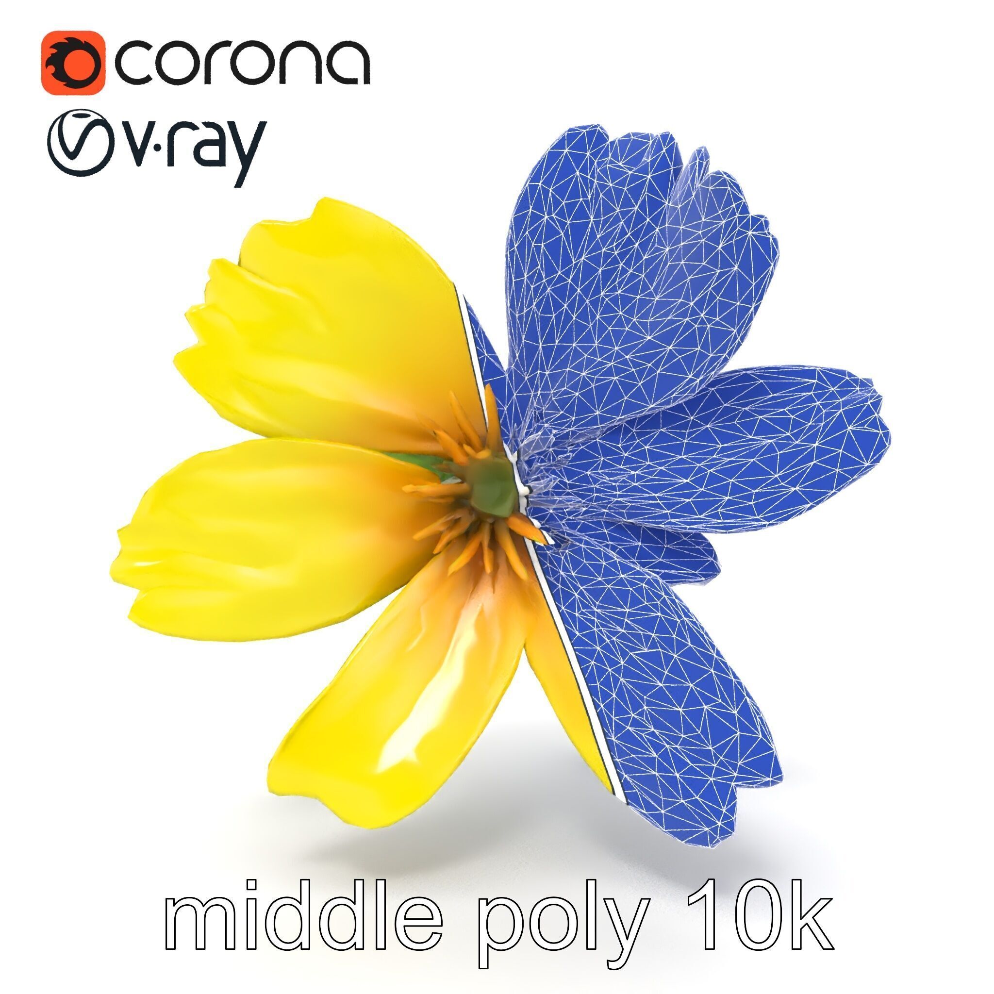 Yellow Clover Flower Botanical model pack Low-poly 3D model_29