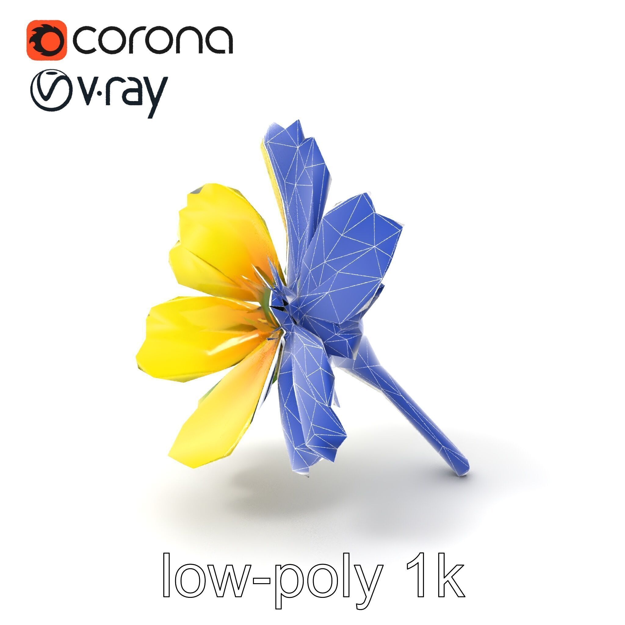 Yellow Clover Flower Botanical model pack Low-poly 3D model_7