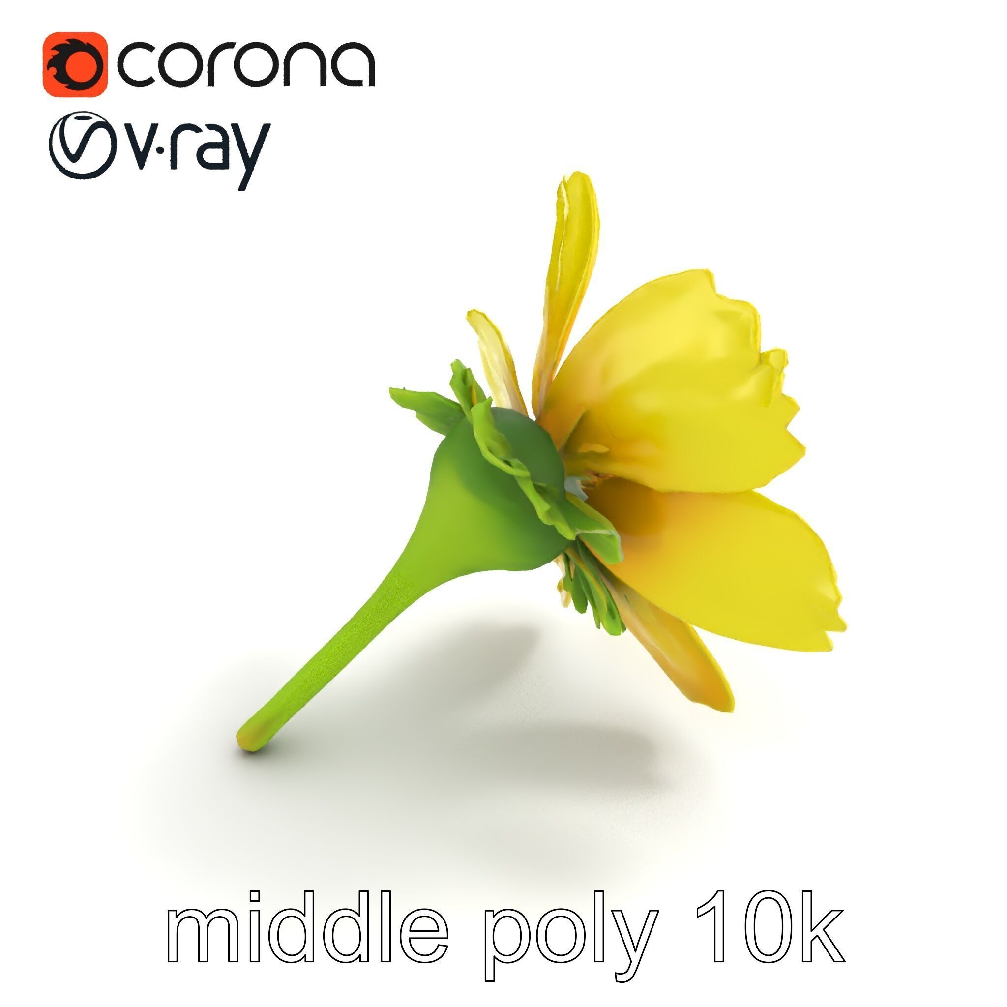 Yellow Clover Flower Botanical model pack Low-poly 3D model_8