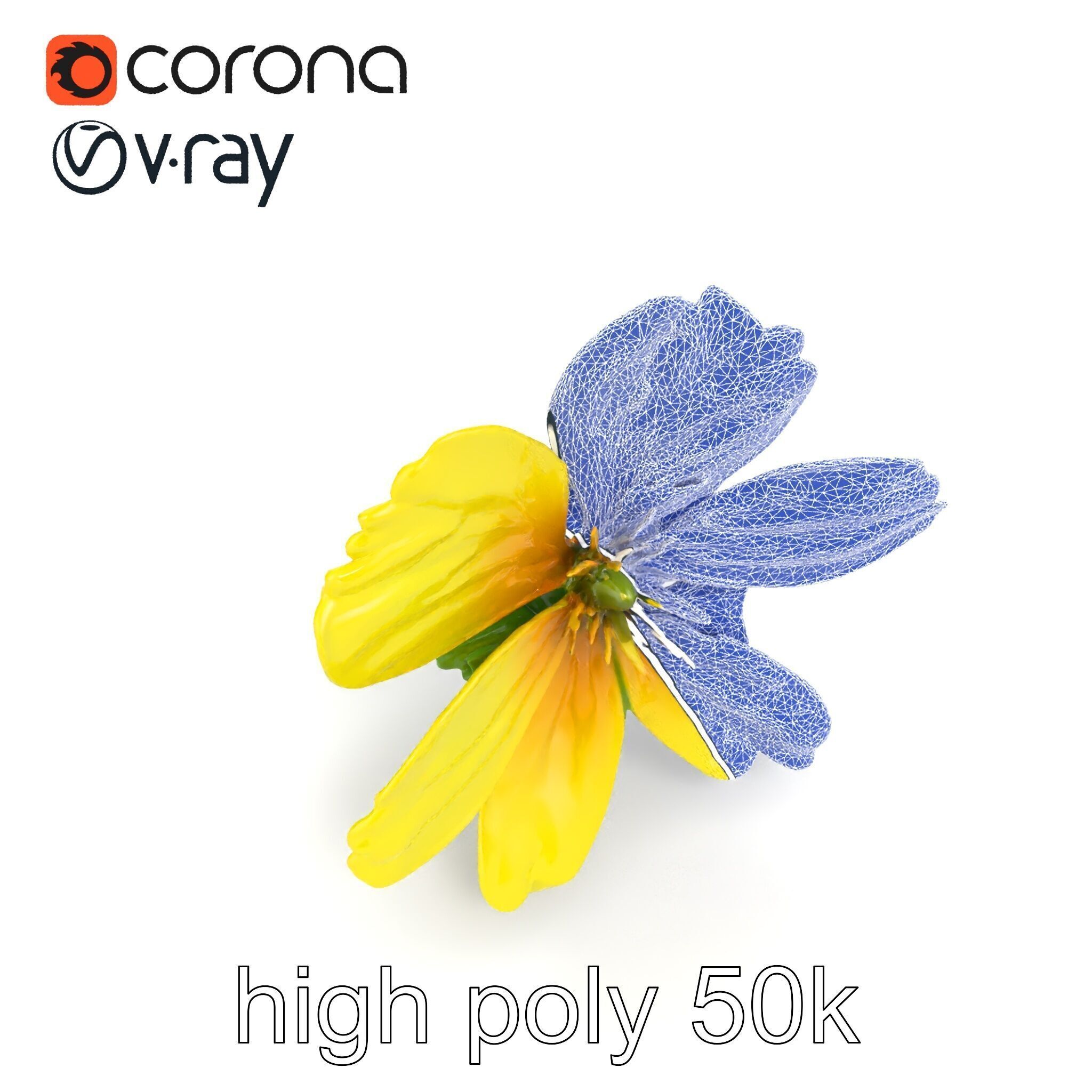 Yellow Clover Flower Botanical model pack Low-poly 3D model_22