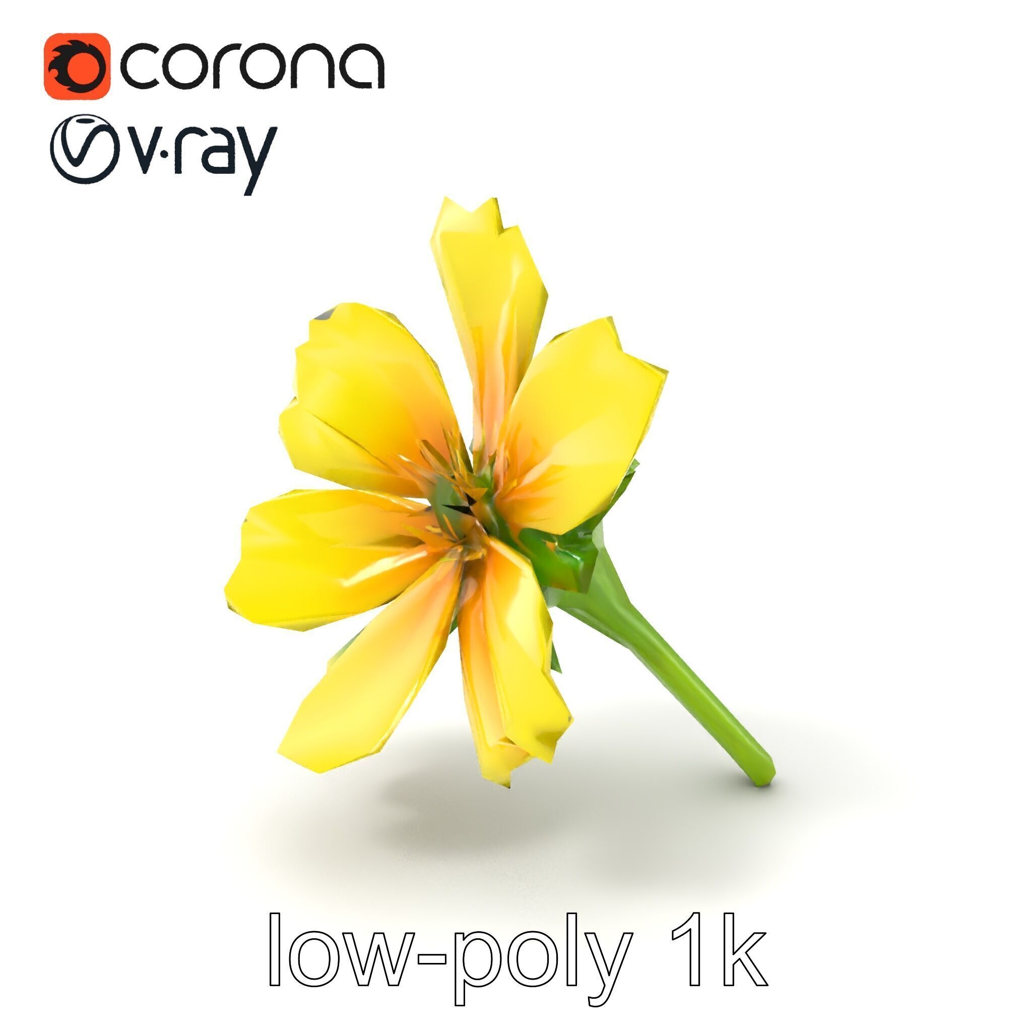 Yellow Clover Flower Botanical model pack Low-poly 3D model_5