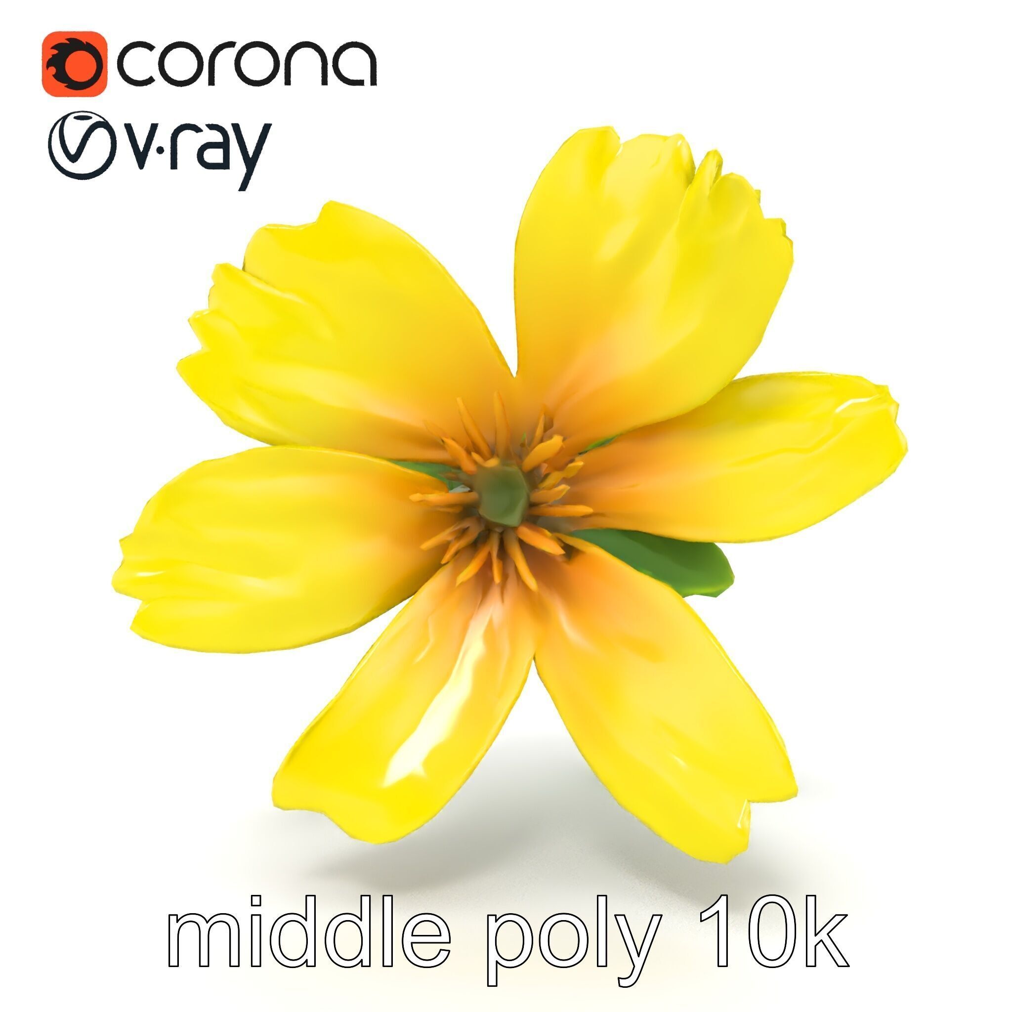 Yellow Clover Flower Botanical model pack Low-poly 3D model_14