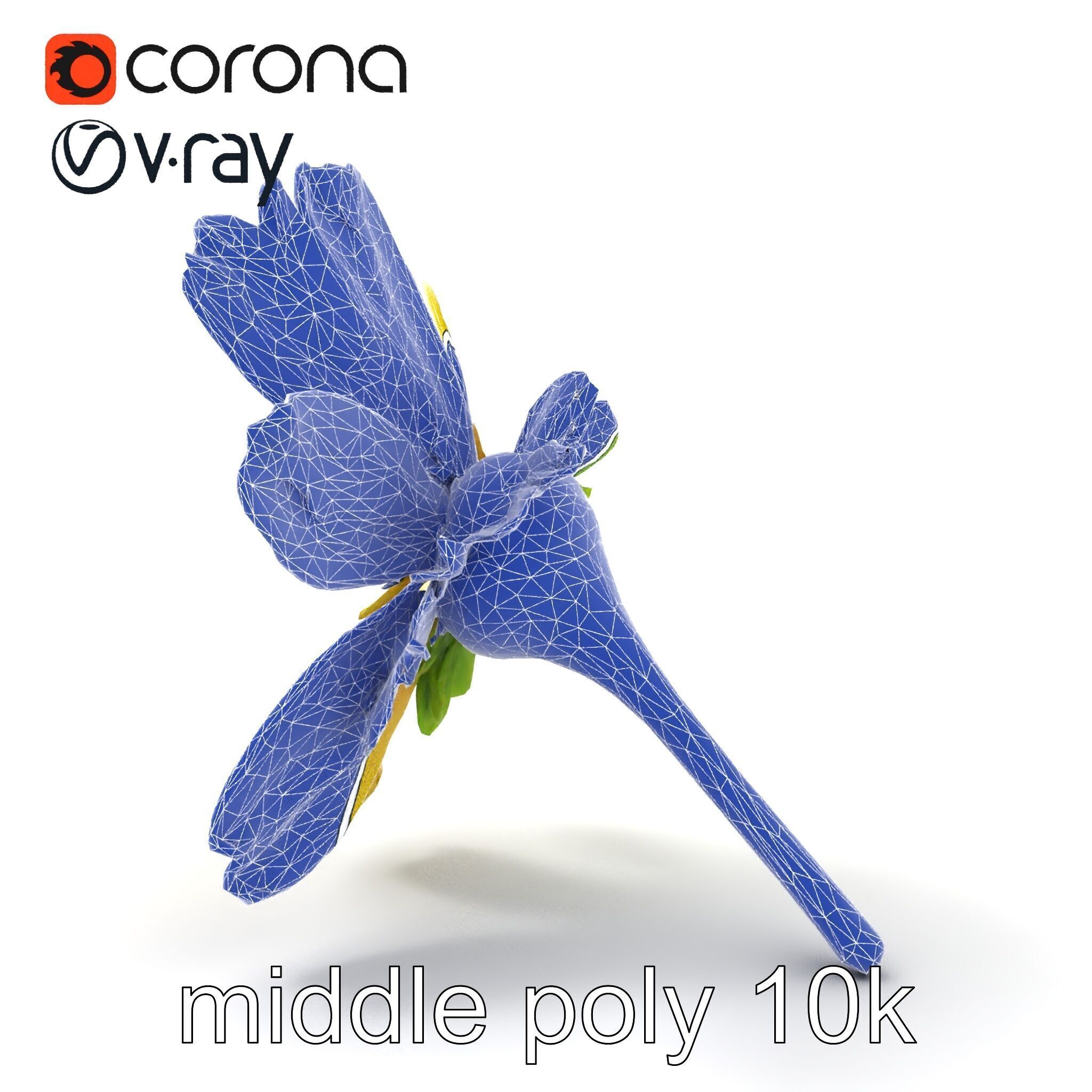 Yellow Clover Flower Botanical model pack Low-poly 3D model_32