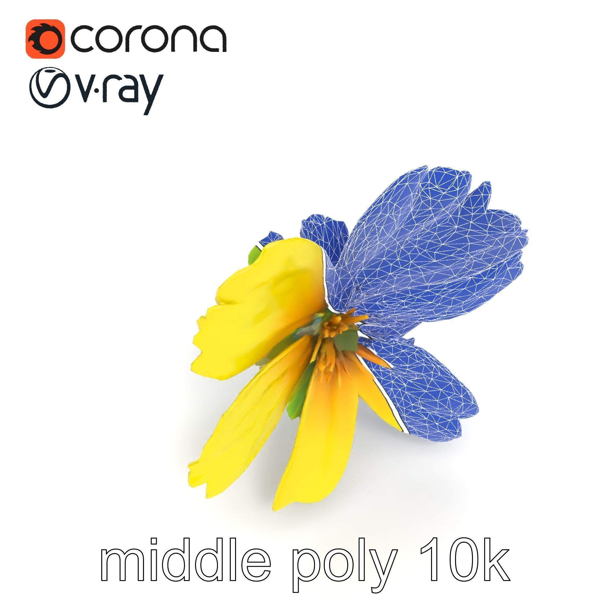 Yellow Clover Flower Botanical model pack Low-poly 3D model_31