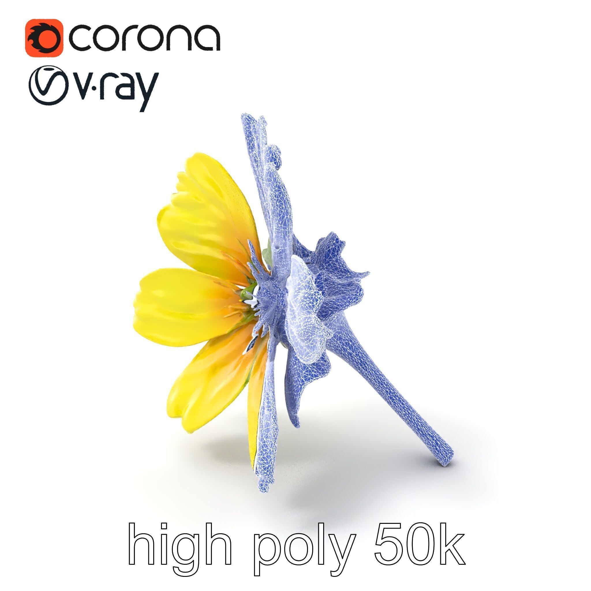 Yellow Clover Flower Botanical model pack Low-poly 3D model_10