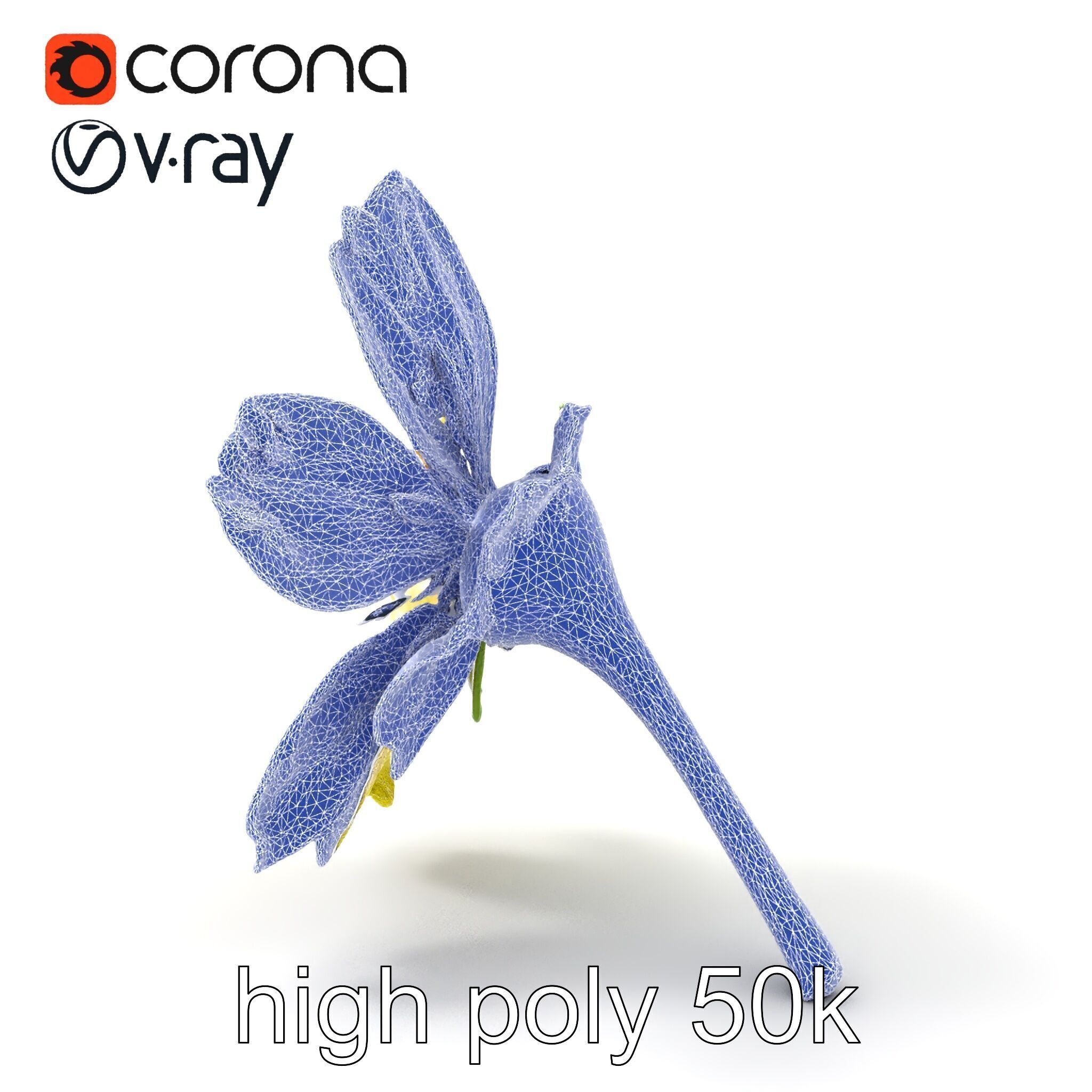 Yellow Clover Flower Botanical model pack Low-poly 3D model_30