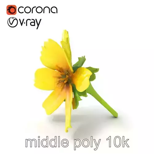 Yellow Clover Flower Botanical model pack Low-poly 3D model