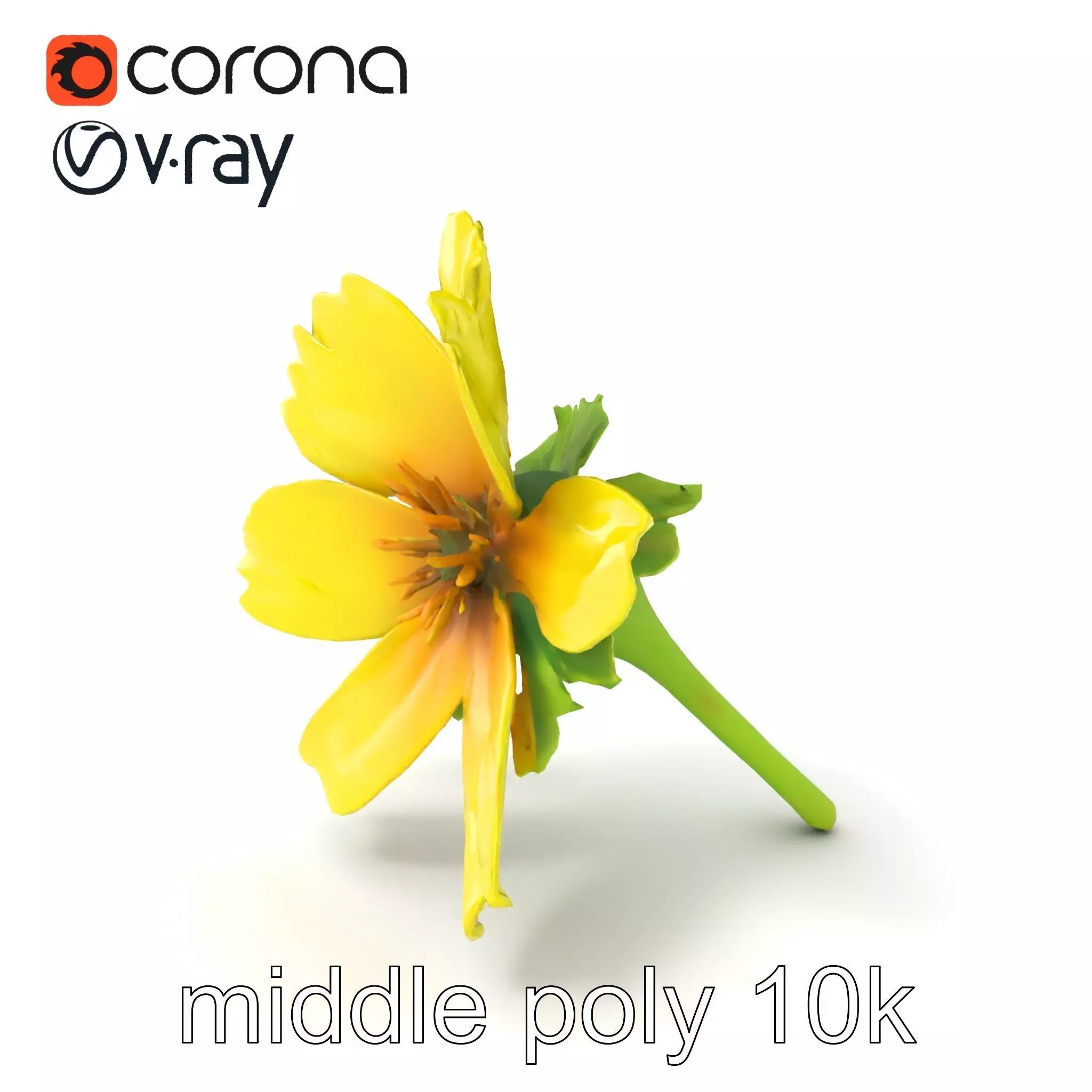 Yellow Clover Flower Botanical model pack Low-poly 3D model_0