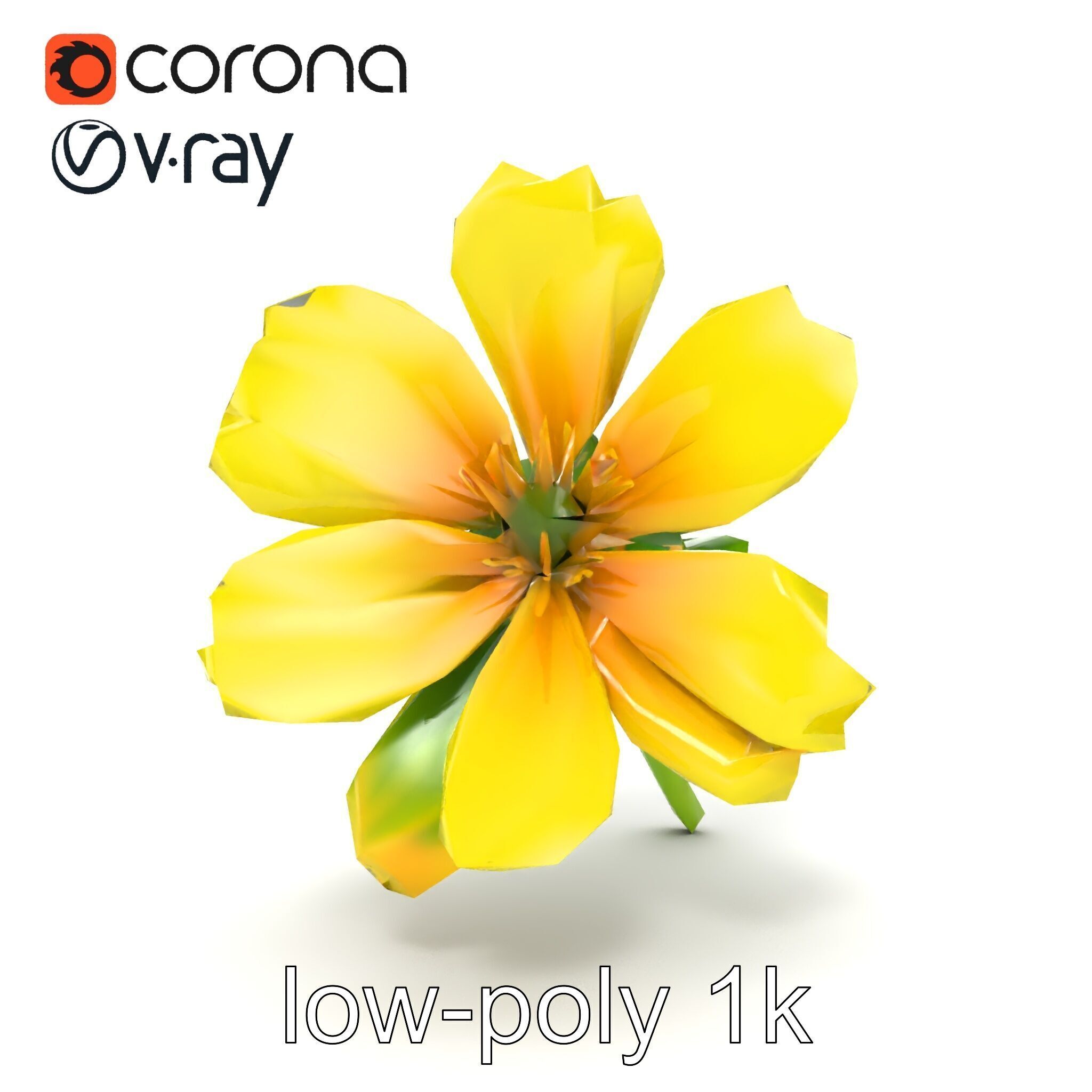 Yellow Clover Flower Botanical model pack Low-poly 3D model_12