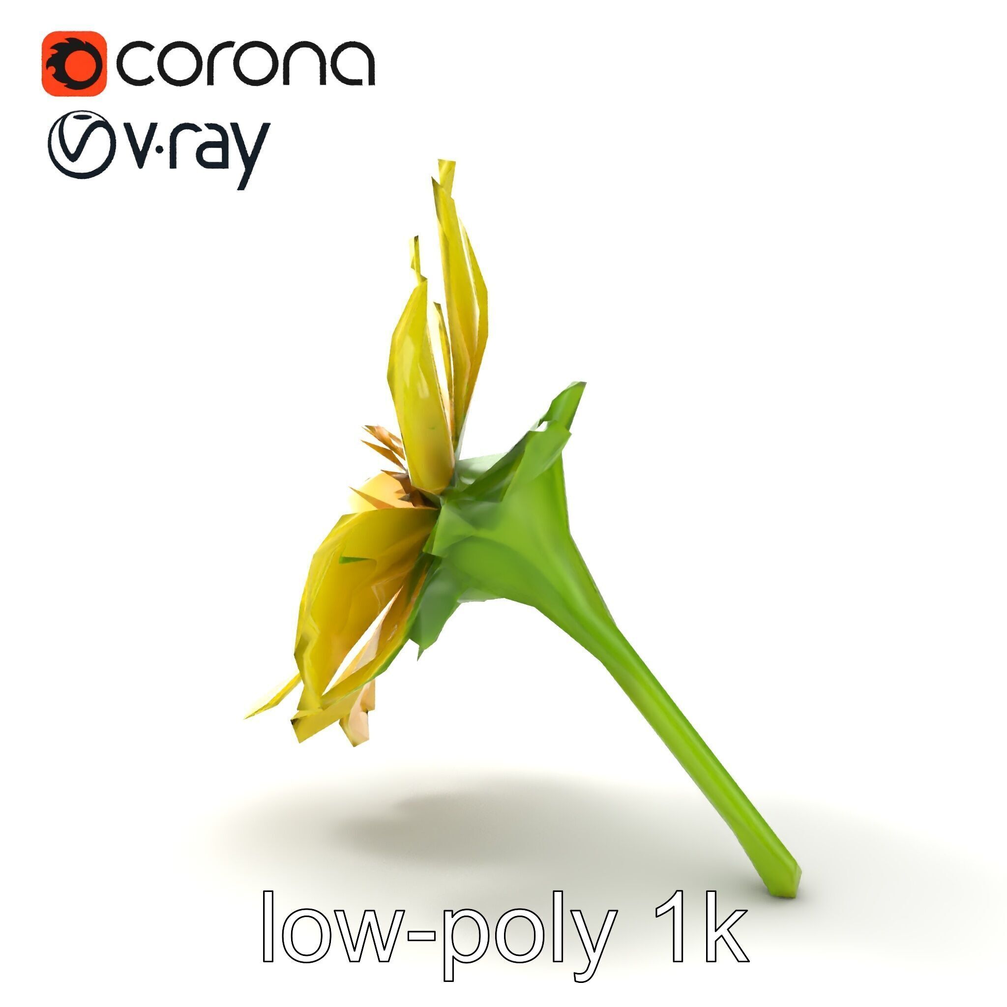Yellow Clover Flower Botanical model pack Low-poly 3D model_13