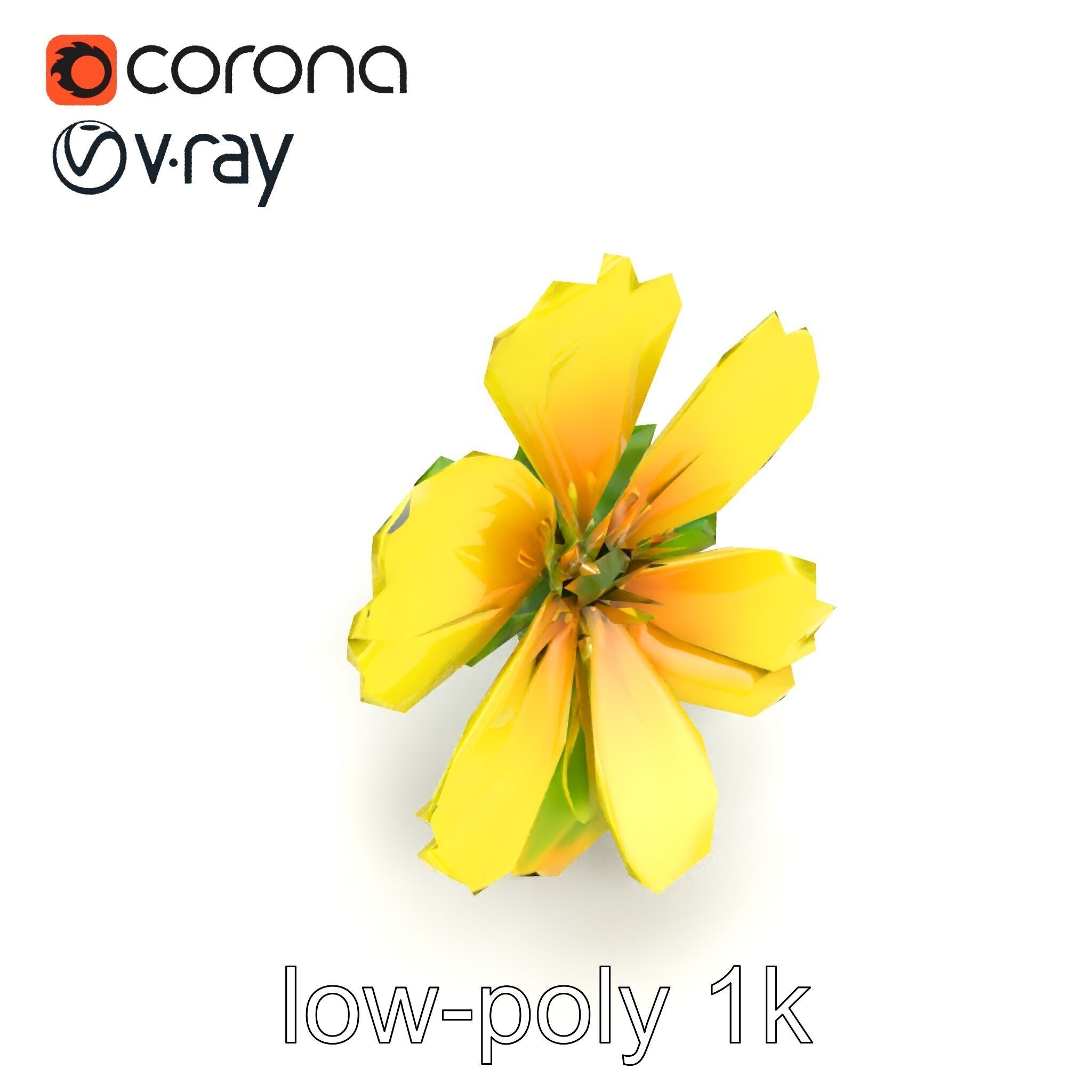Yellow Clover Flower Botanical model pack Low-poly 3D model_24