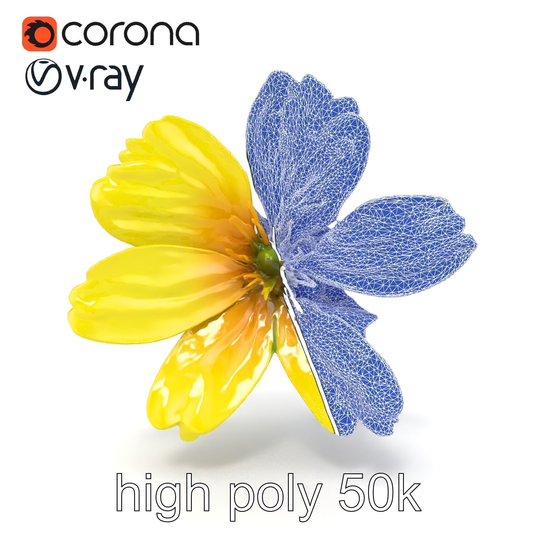 Yellow Clover Flower Botanical model pack Low-poly 3D model_28