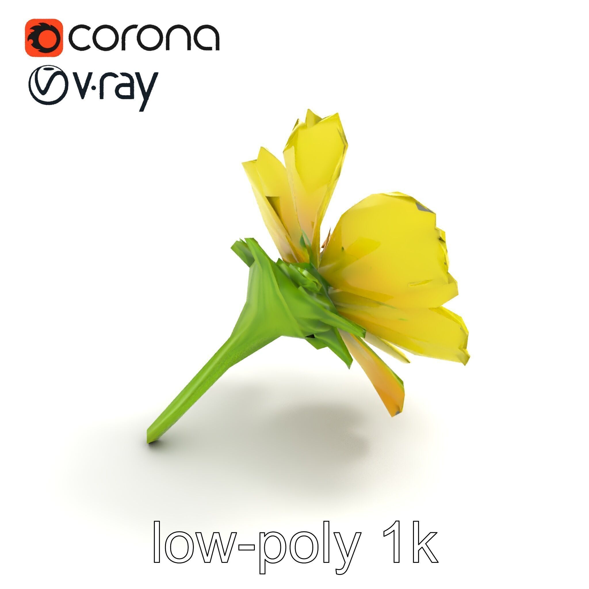 Yellow Clover Flower Botanical model pack Low-poly 3D model_9