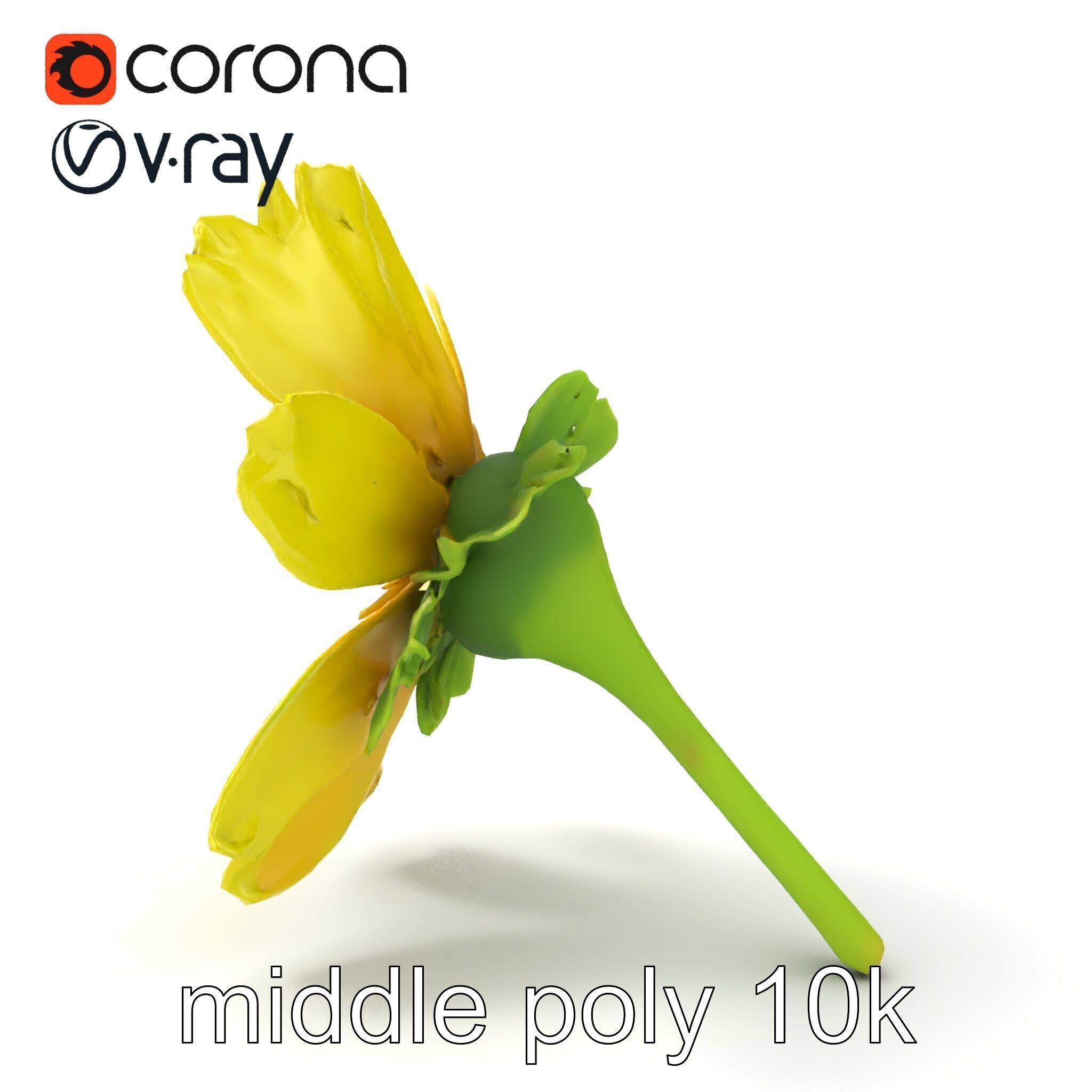 Yellow Clover Flower Botanical model pack Low-poly 3D model_23