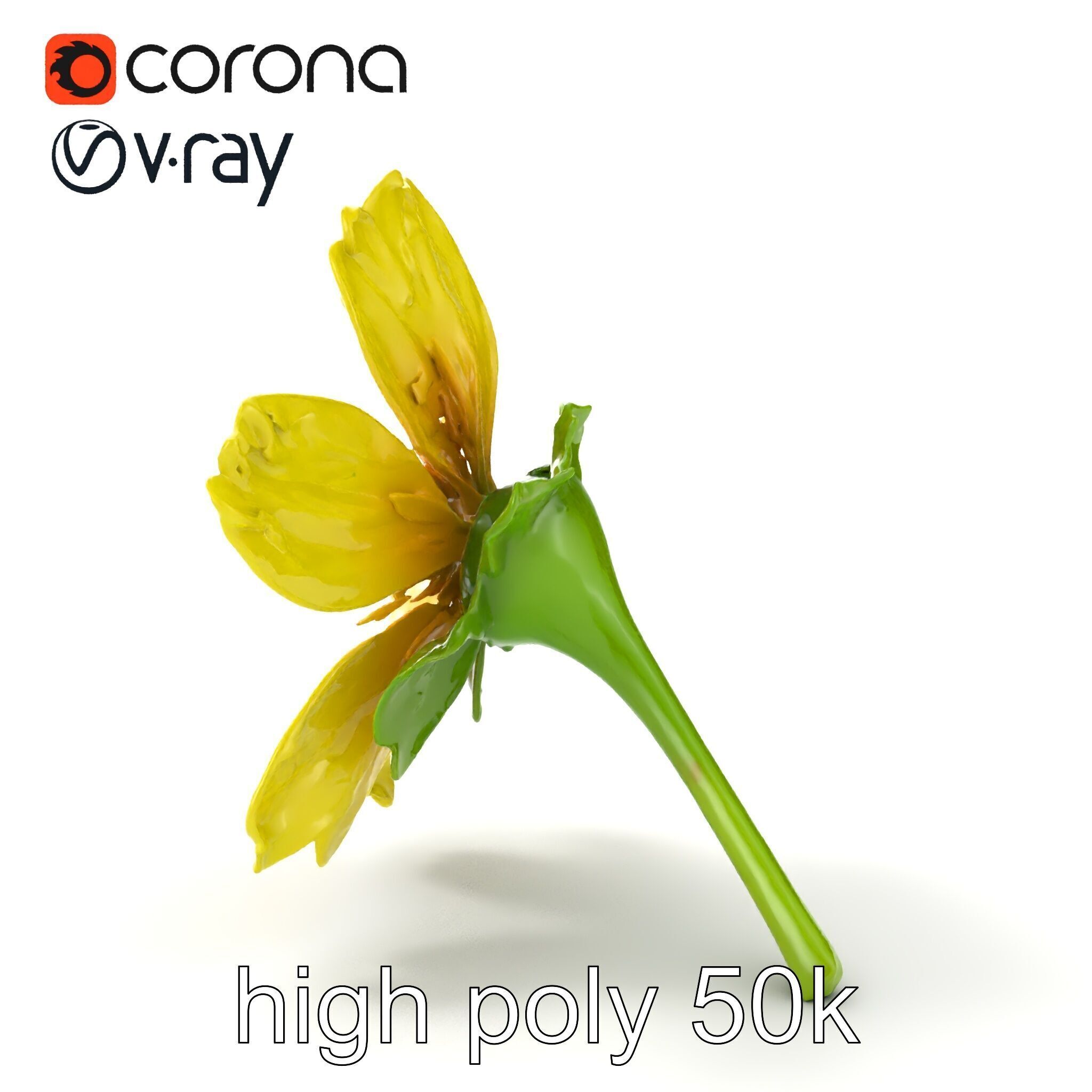 Yellow Clover Flower Botanical model pack Low-poly 3D model_20