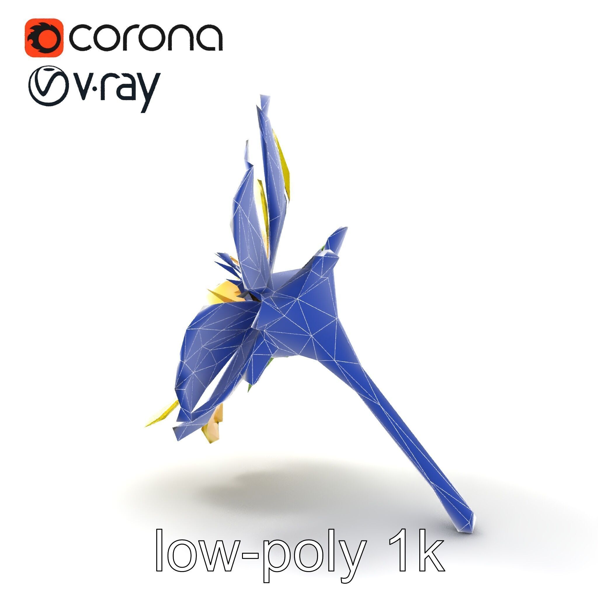 Yellow Clover Flower Botanical model pack Low-poly 3D model_18