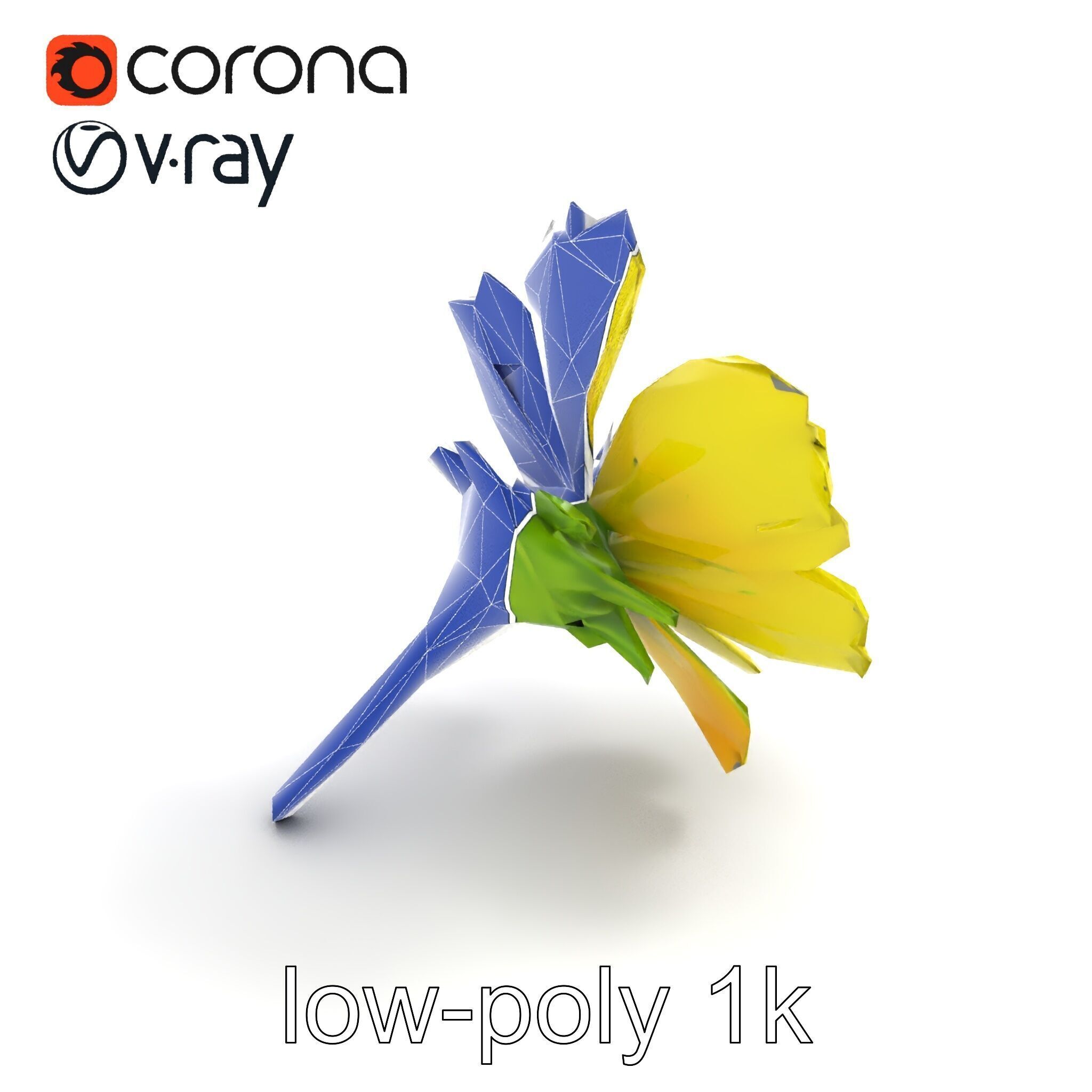 Yellow Clover Flower Botanical model pack Low-poly 3D model_11